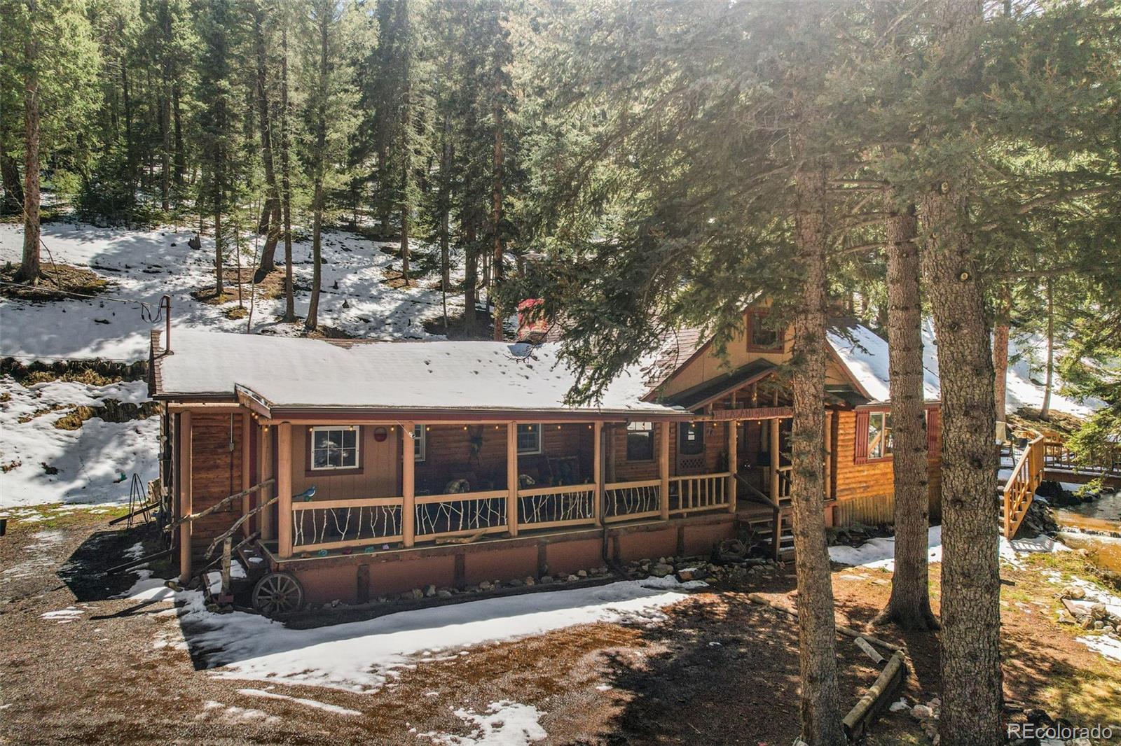 conifer  House Search Picture