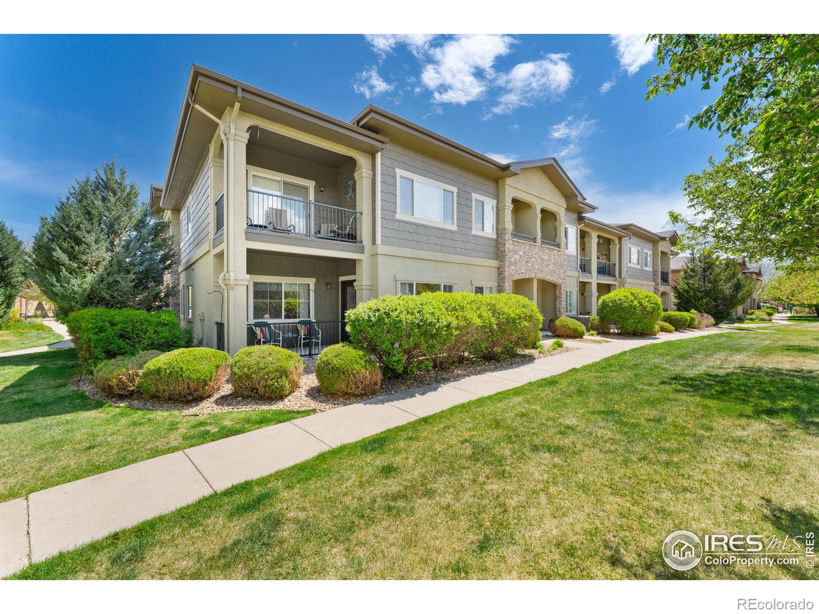 longmont  House Search Picture