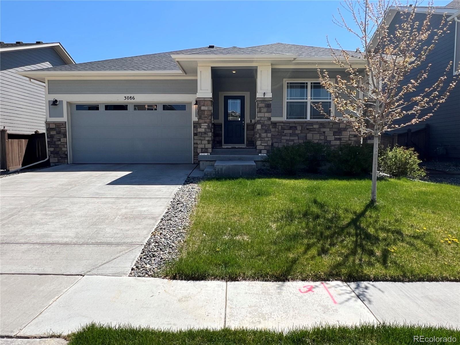 brighton  House Search Picture