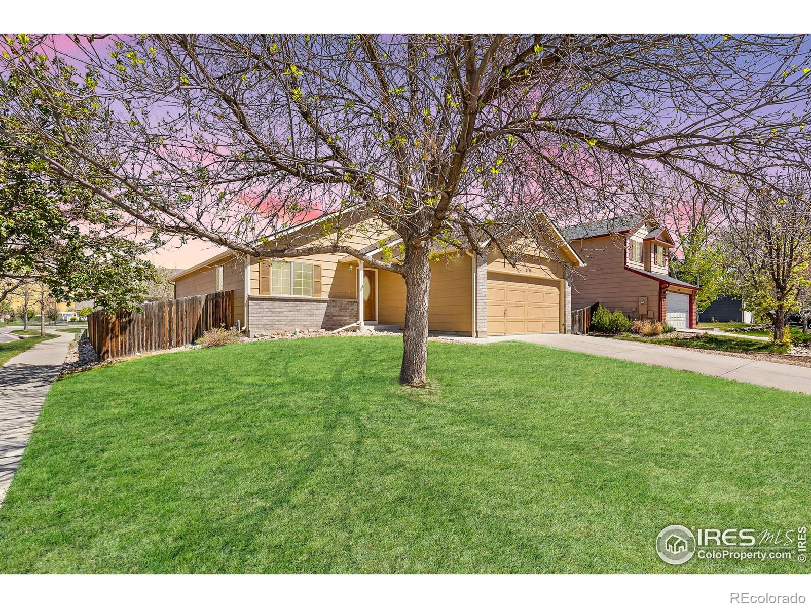 2354  Billings Lane, longmont  House Search MLS Picture