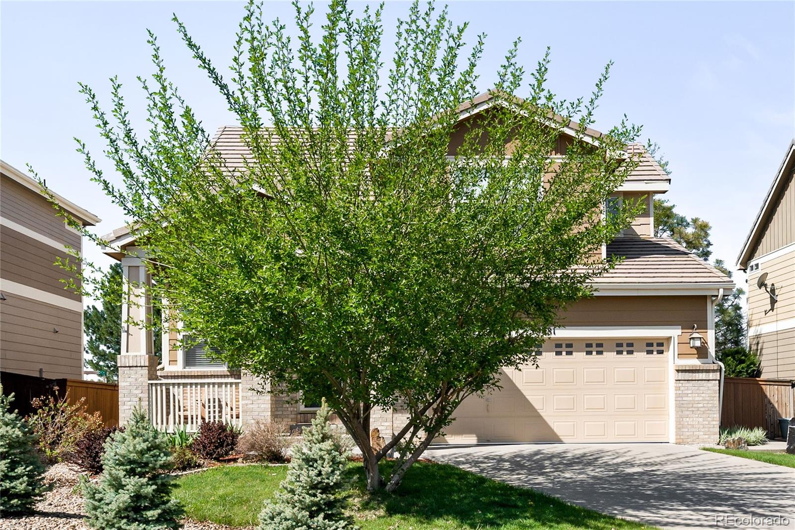 9481  Longstone Drive, parker  House Search MLS Picture