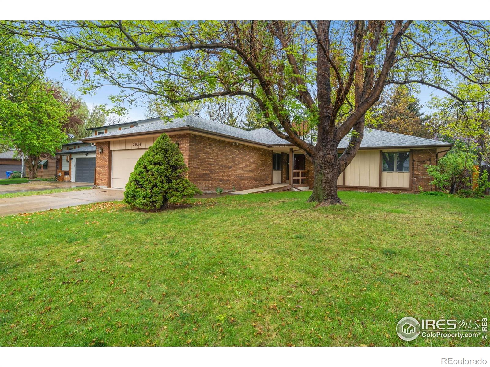 fort collins  House Search Picture