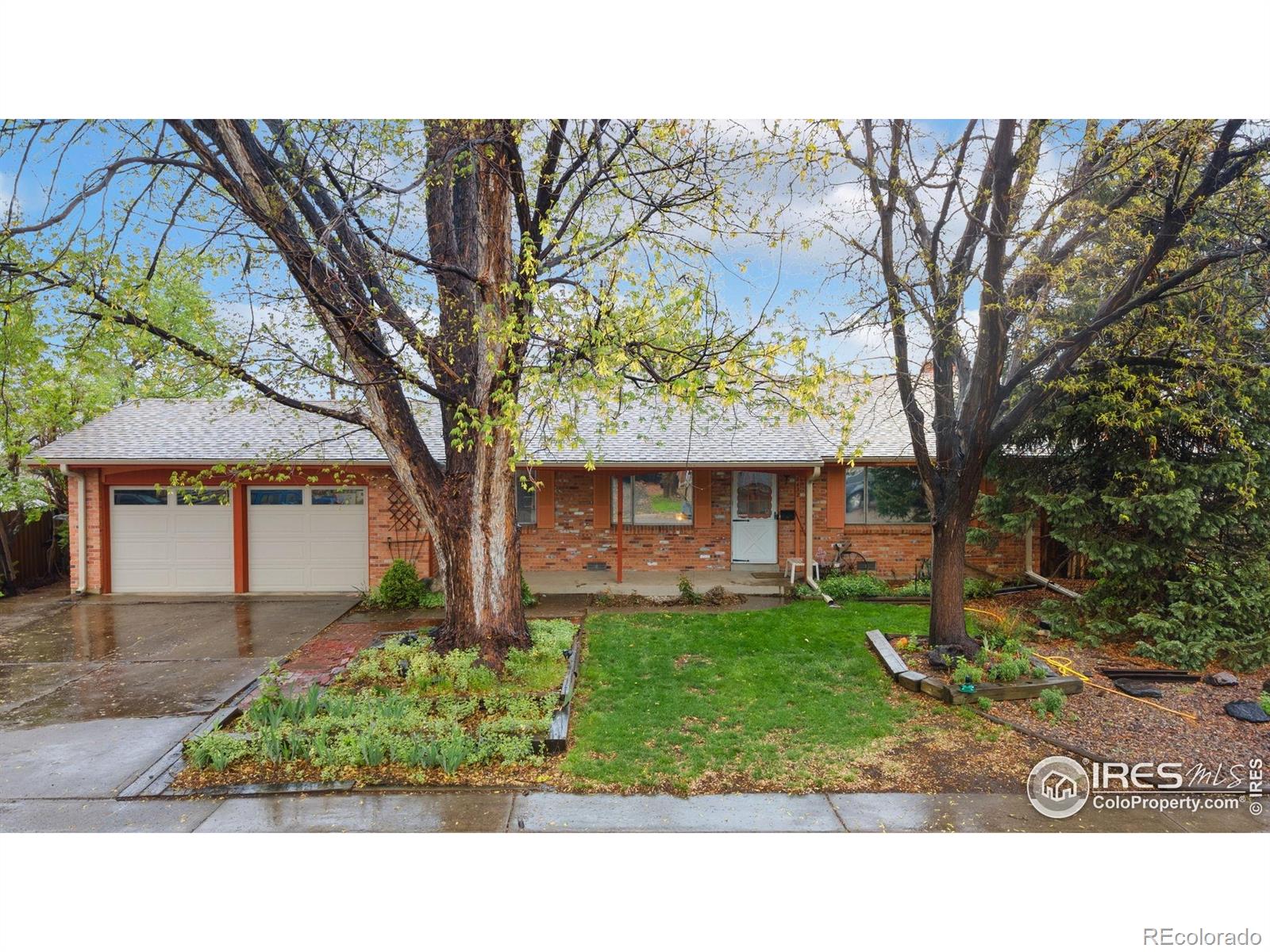 arvada  House Search Picture