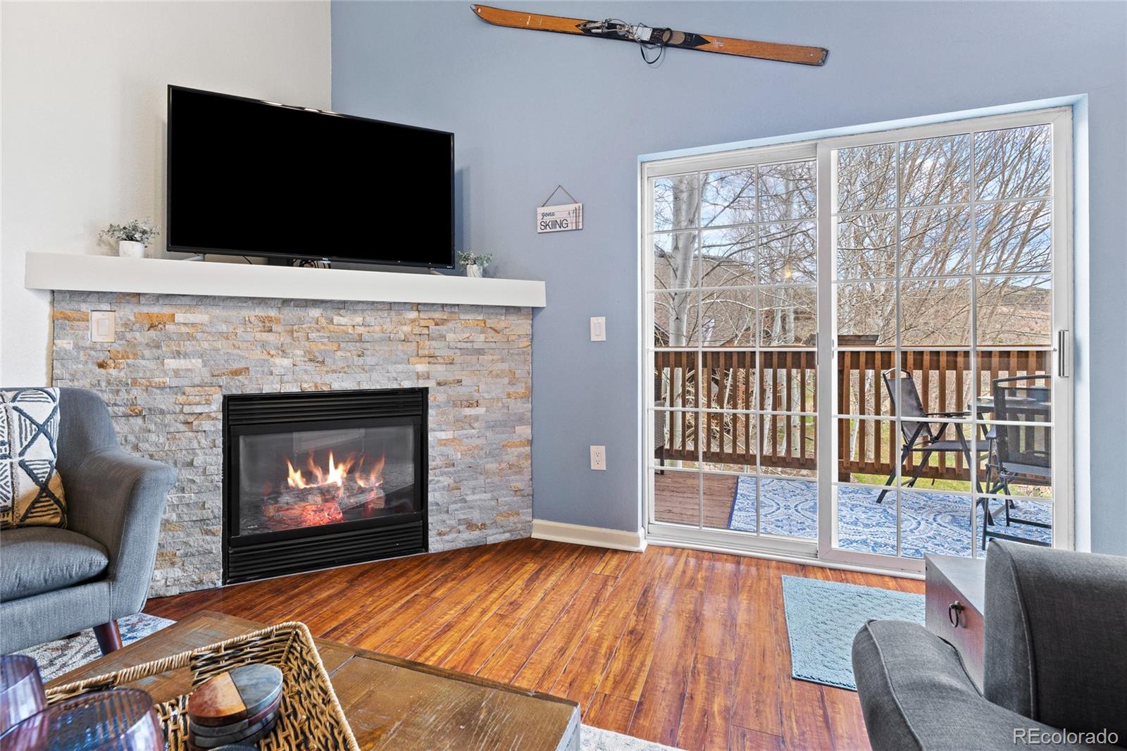 1603  Crazy Horse Circle, edwards  House Search MLS Picture