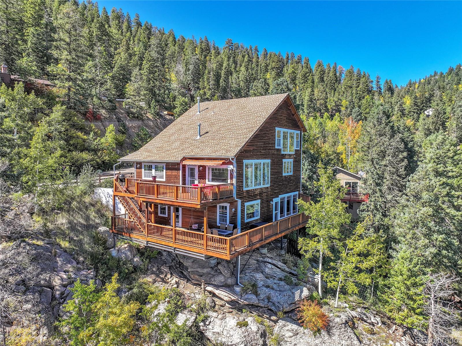 conifer  House Search Picture
