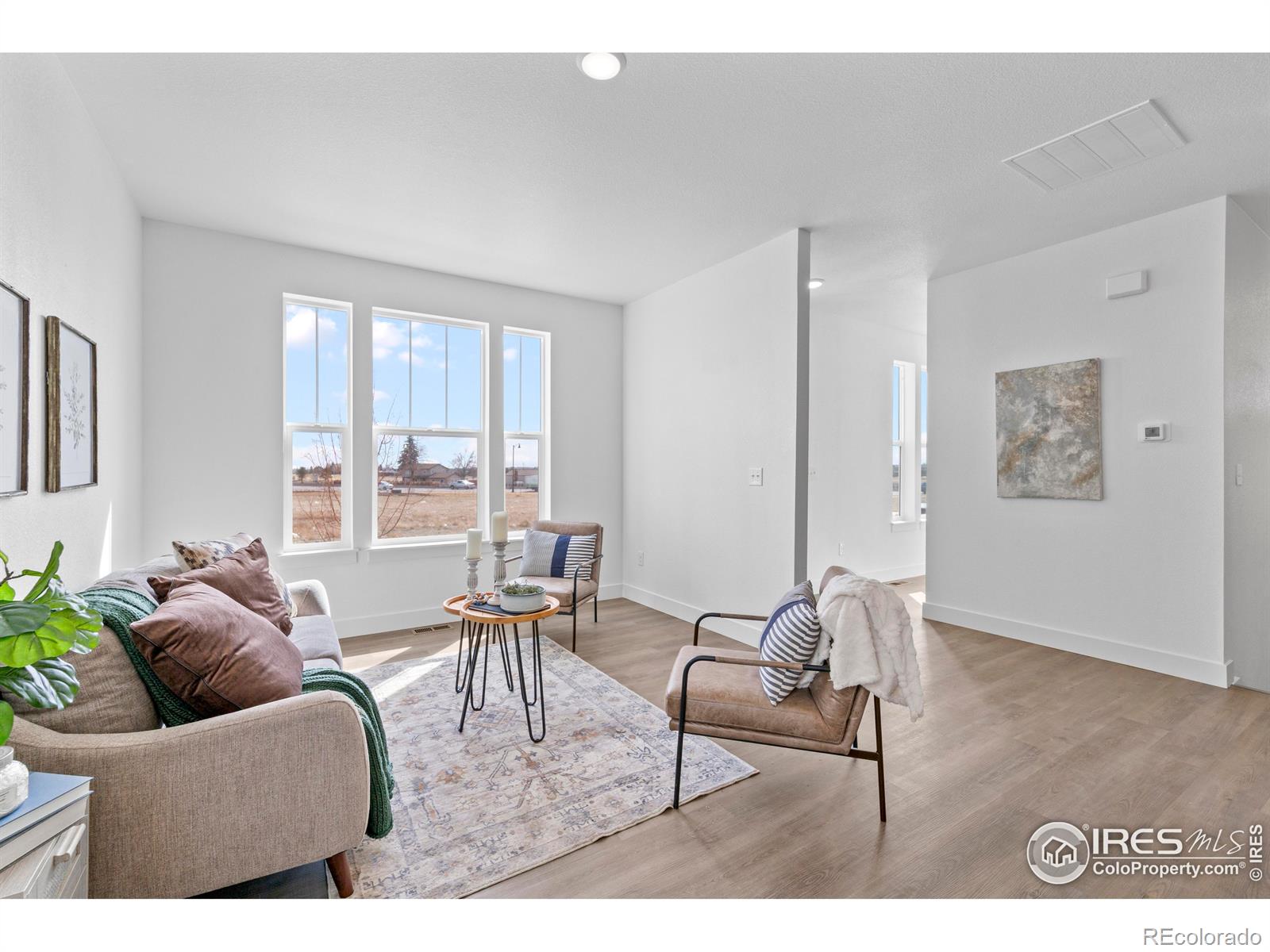 4517  Parkline Street, timnath  House Search MLS Picture