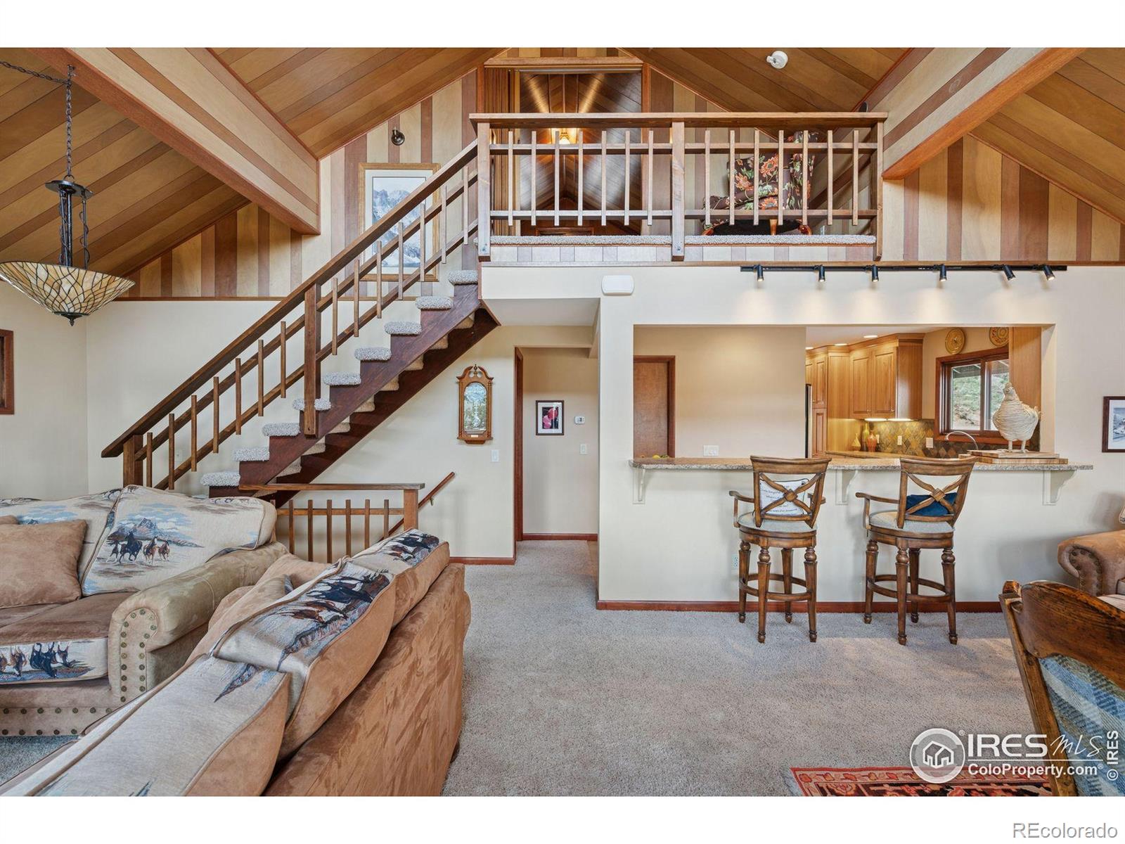 1433  Vista View Lane, estes park  House Search MLS Picture