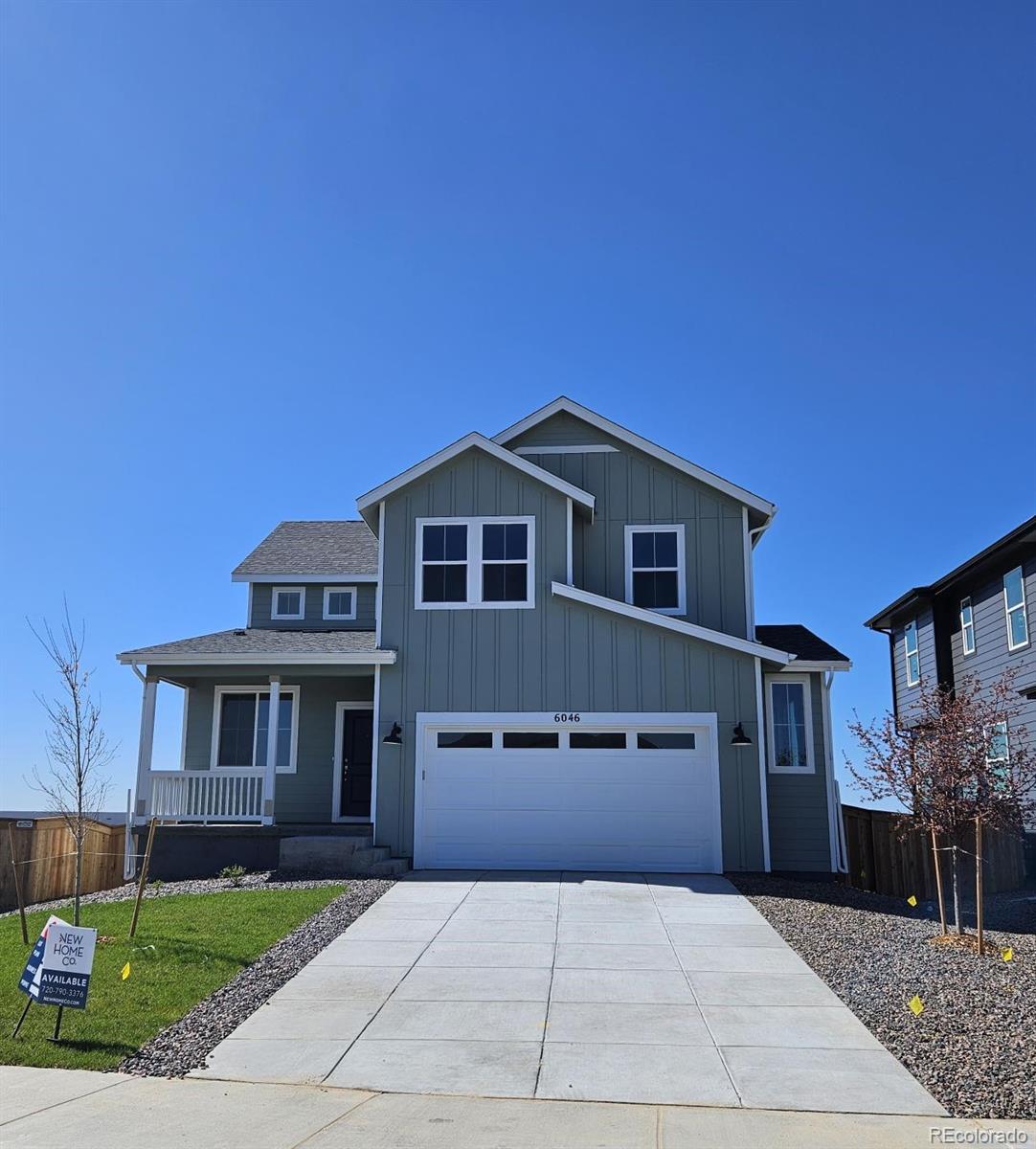 brighton  House Search Picture