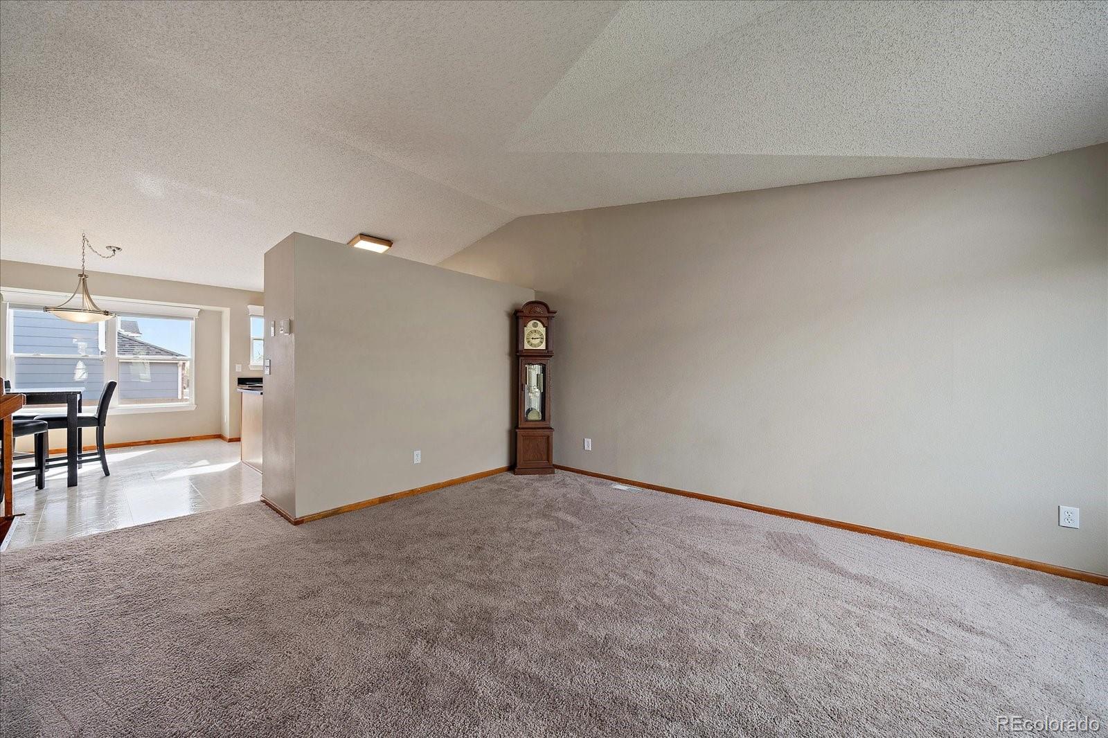292 S Pembrook Street, castle rock  House Search MLS Picture