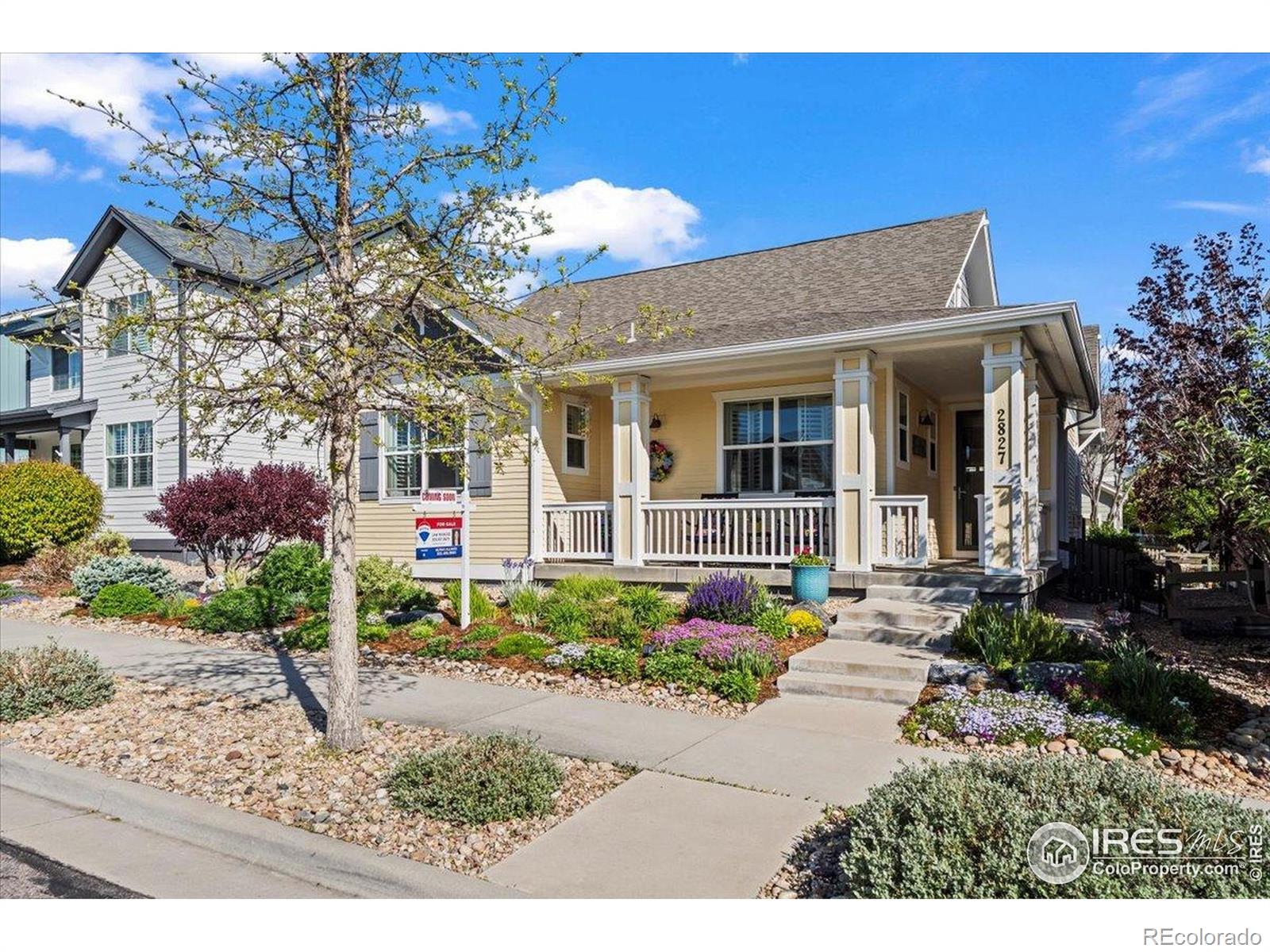 lafayette  House Search Picture