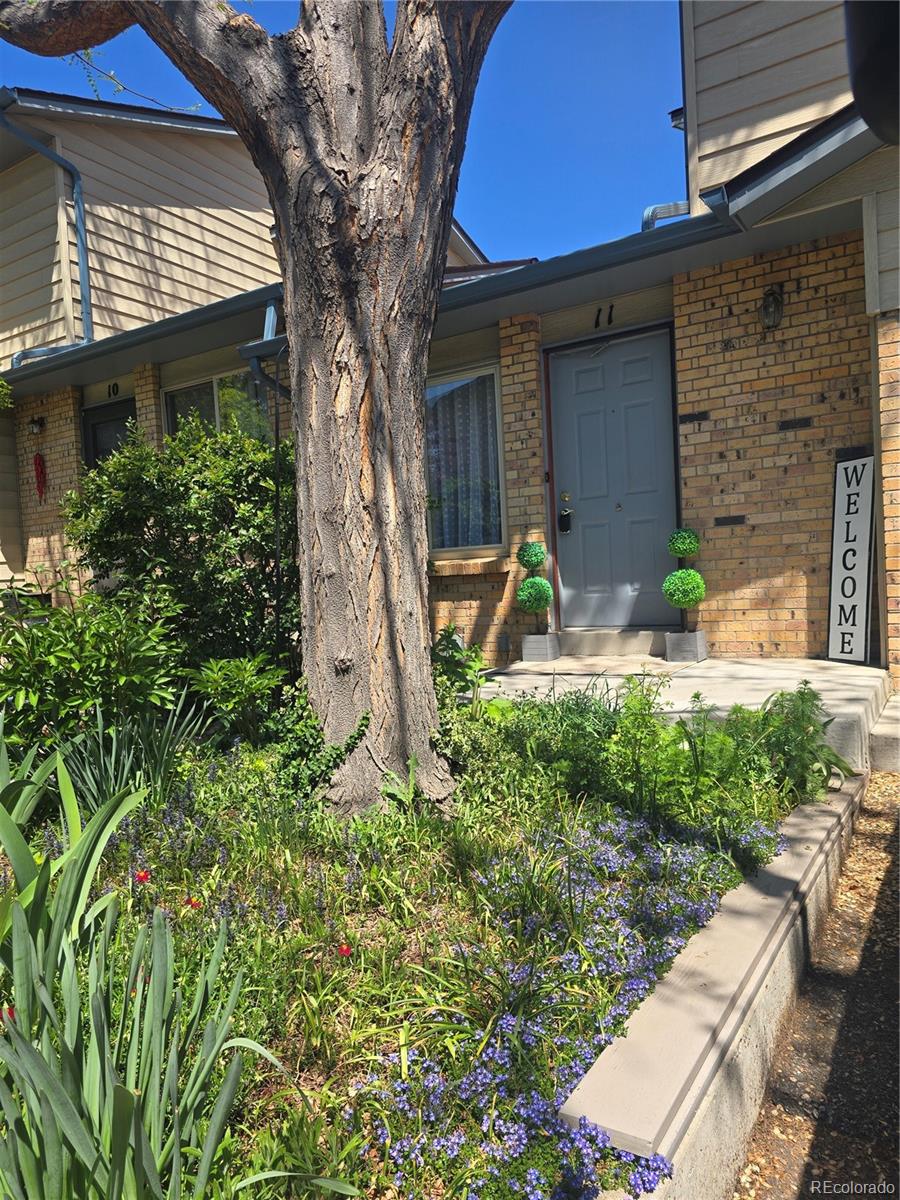 arvada  House Search Picture