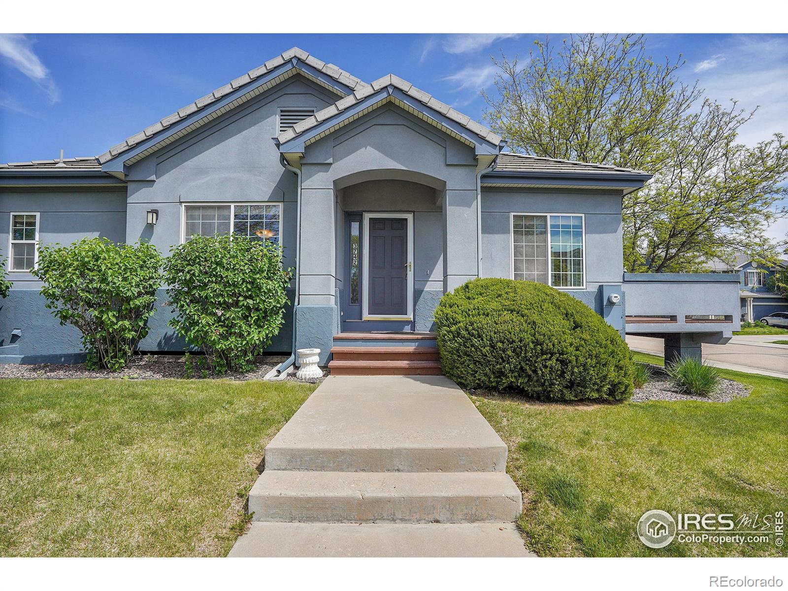 3742  Florentine Circle, longmont  House Search MLS Picture