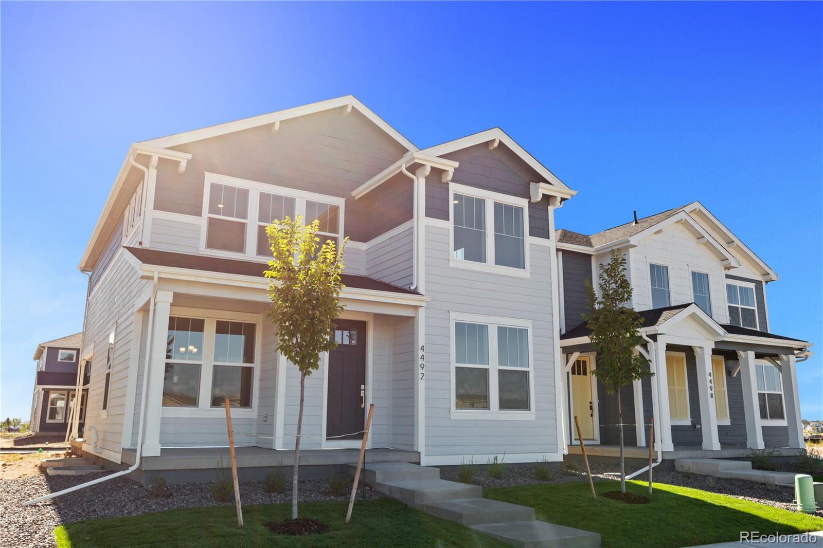4492  Burl Street, timnath  House Search MLS Picture