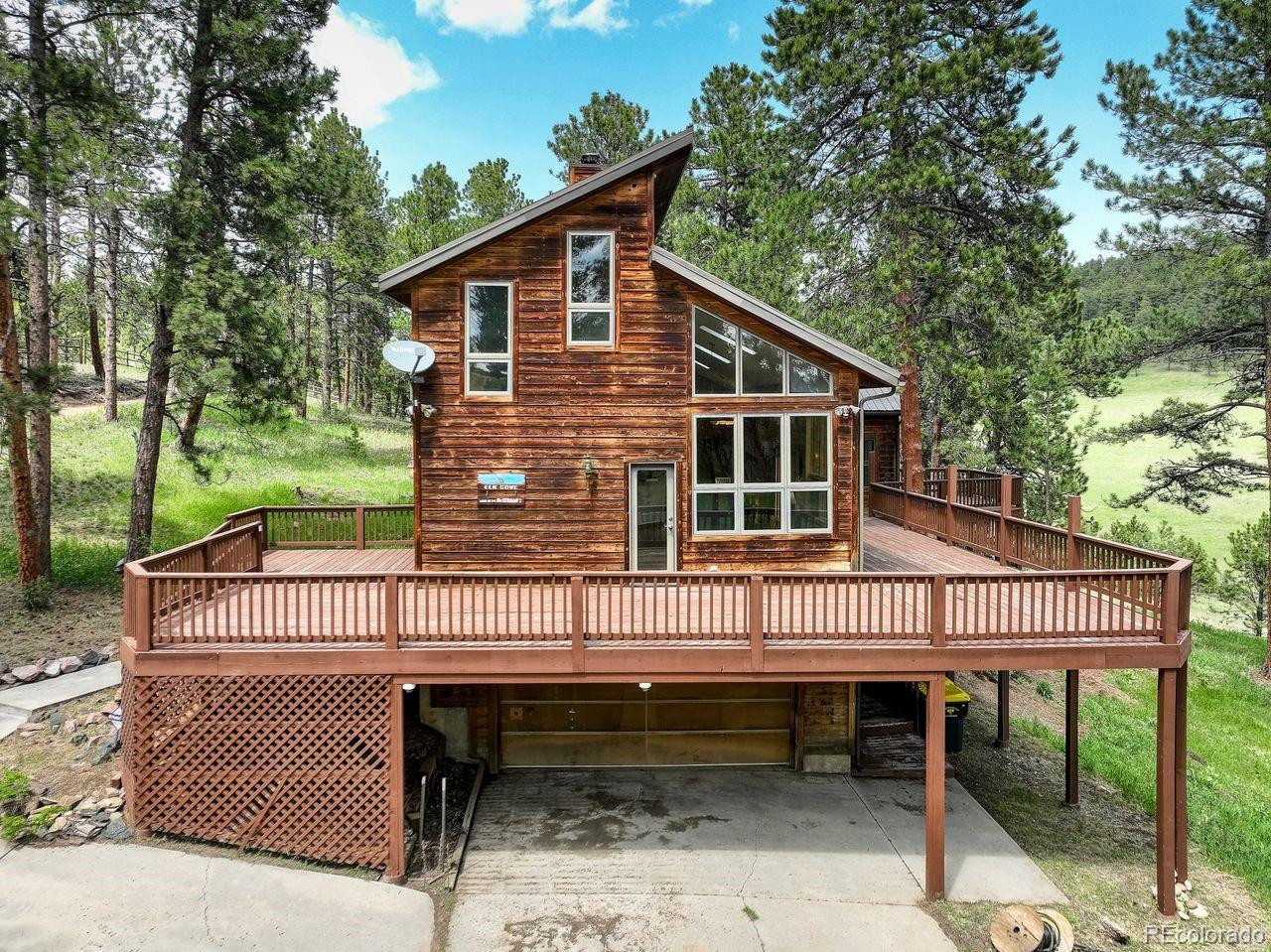 conifer  House Search Picture
