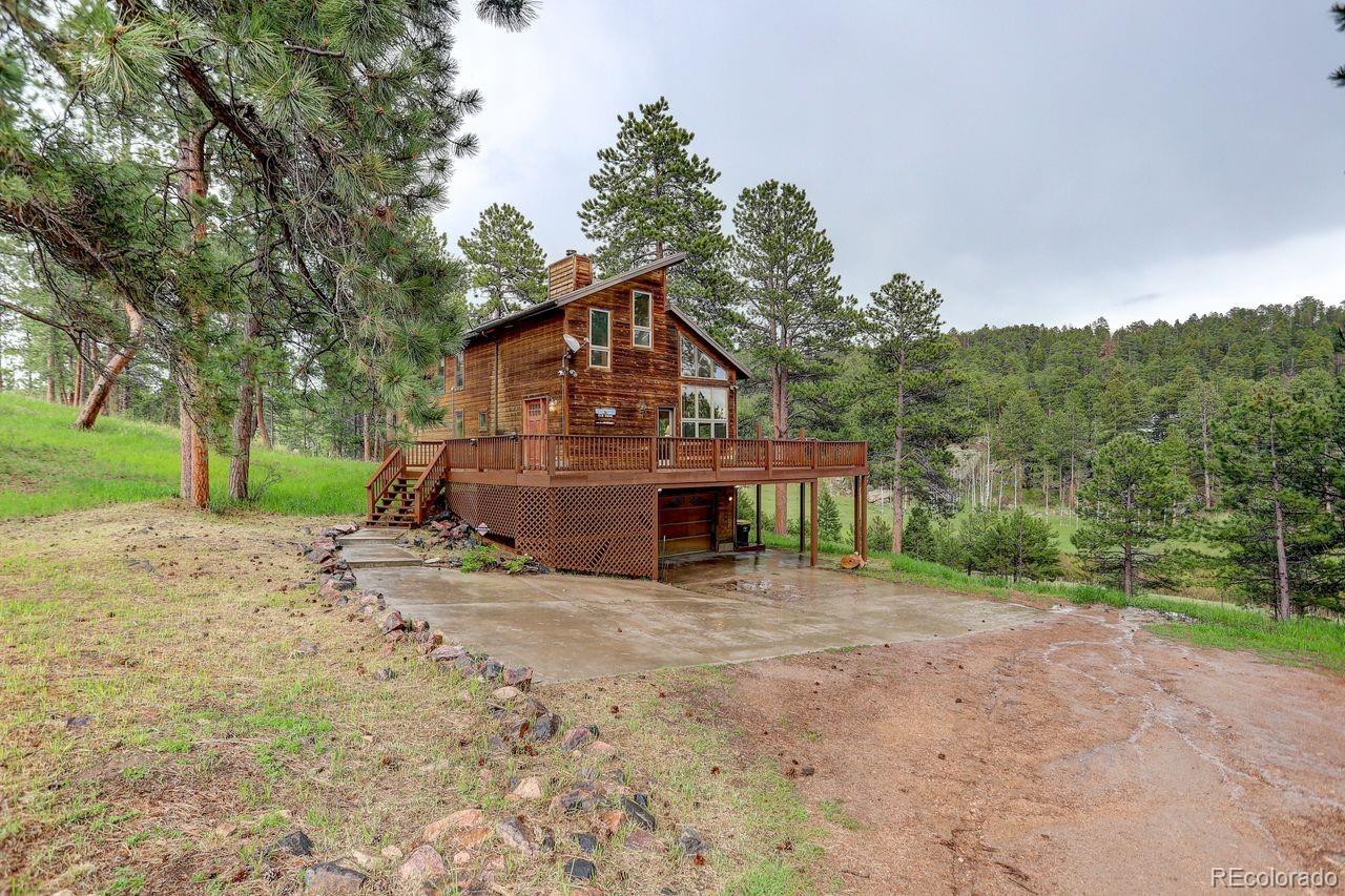conifer  Horse Properties Search Picture