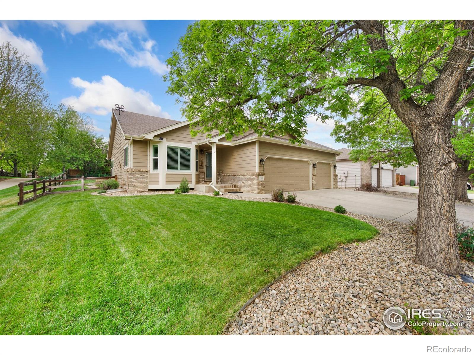 1769  Rhyolite Street, loveland  House Search MLS Picture