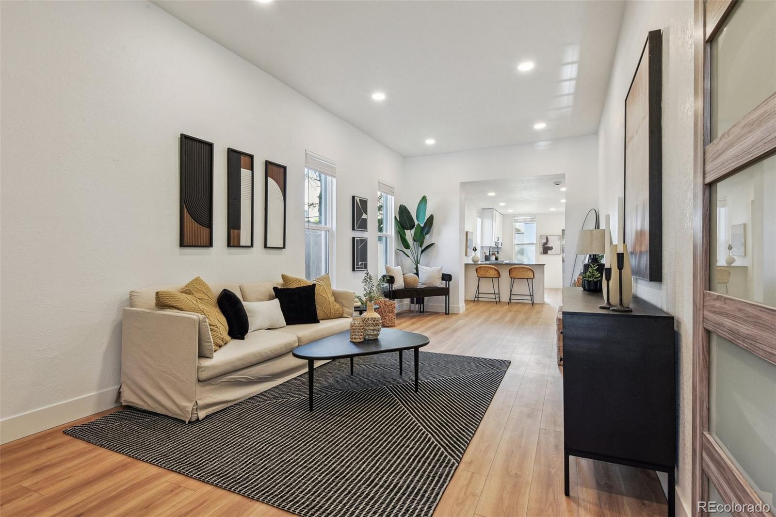 717  Inca Street, denver  House Search MLS Picture