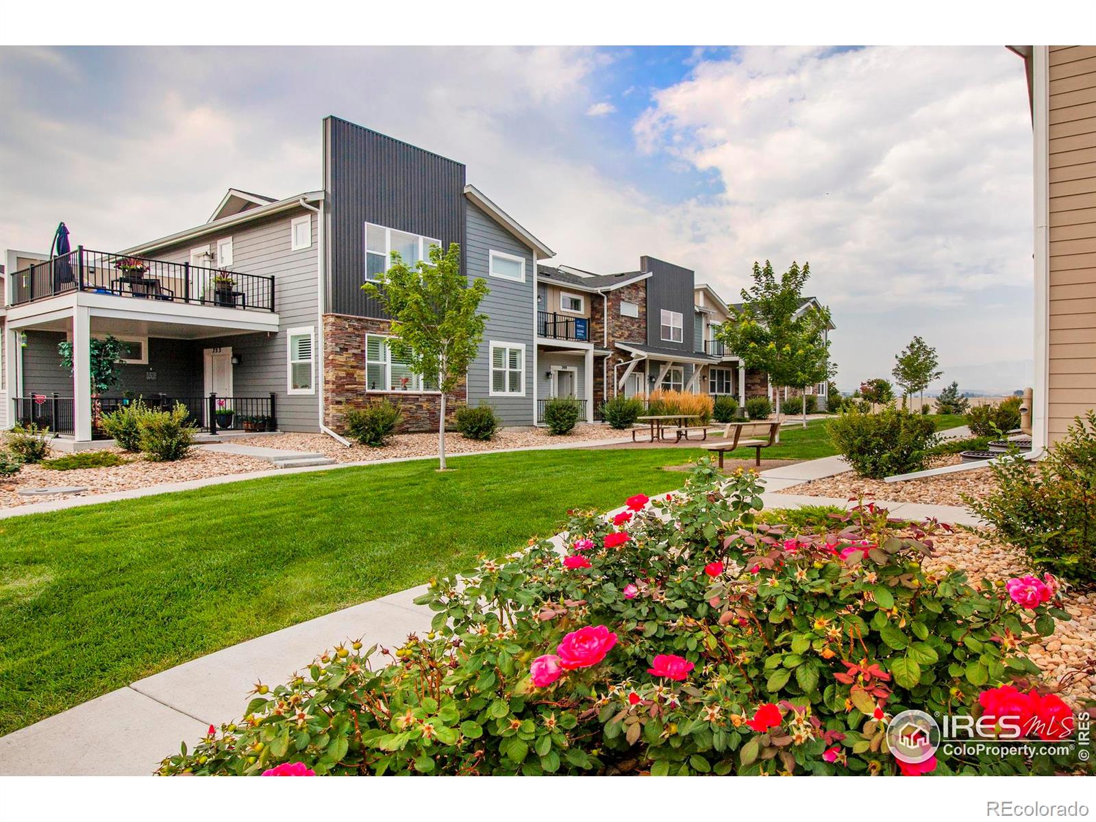 749  Robert Street, longmont MLS: 4567891033869 Beds: 3 Baths: 3 Price: $475,000