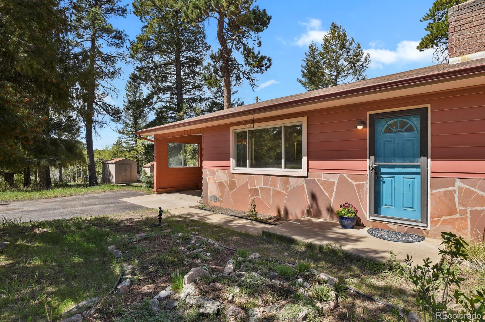 conifer  House Search Picture