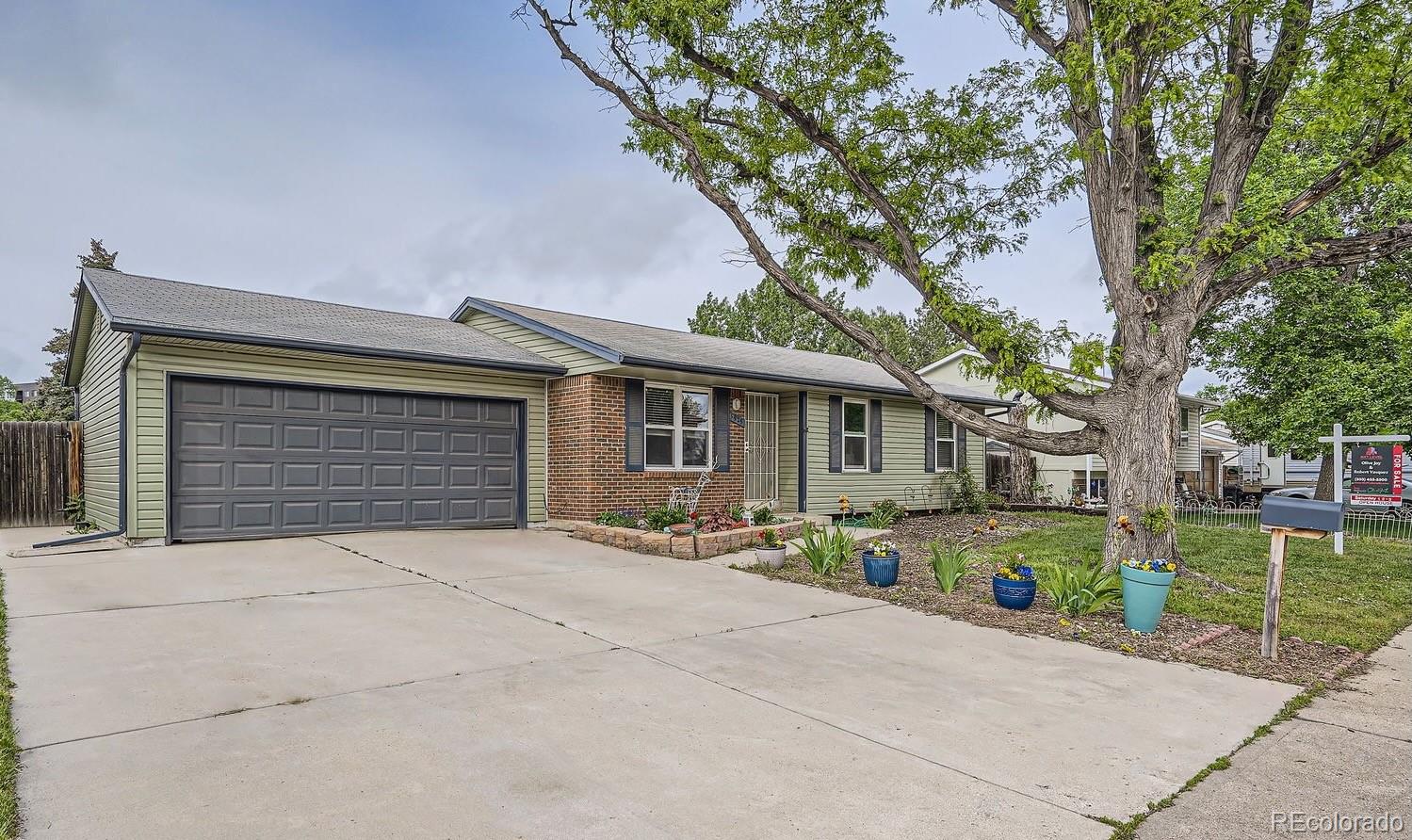 arvada  House Search Picture