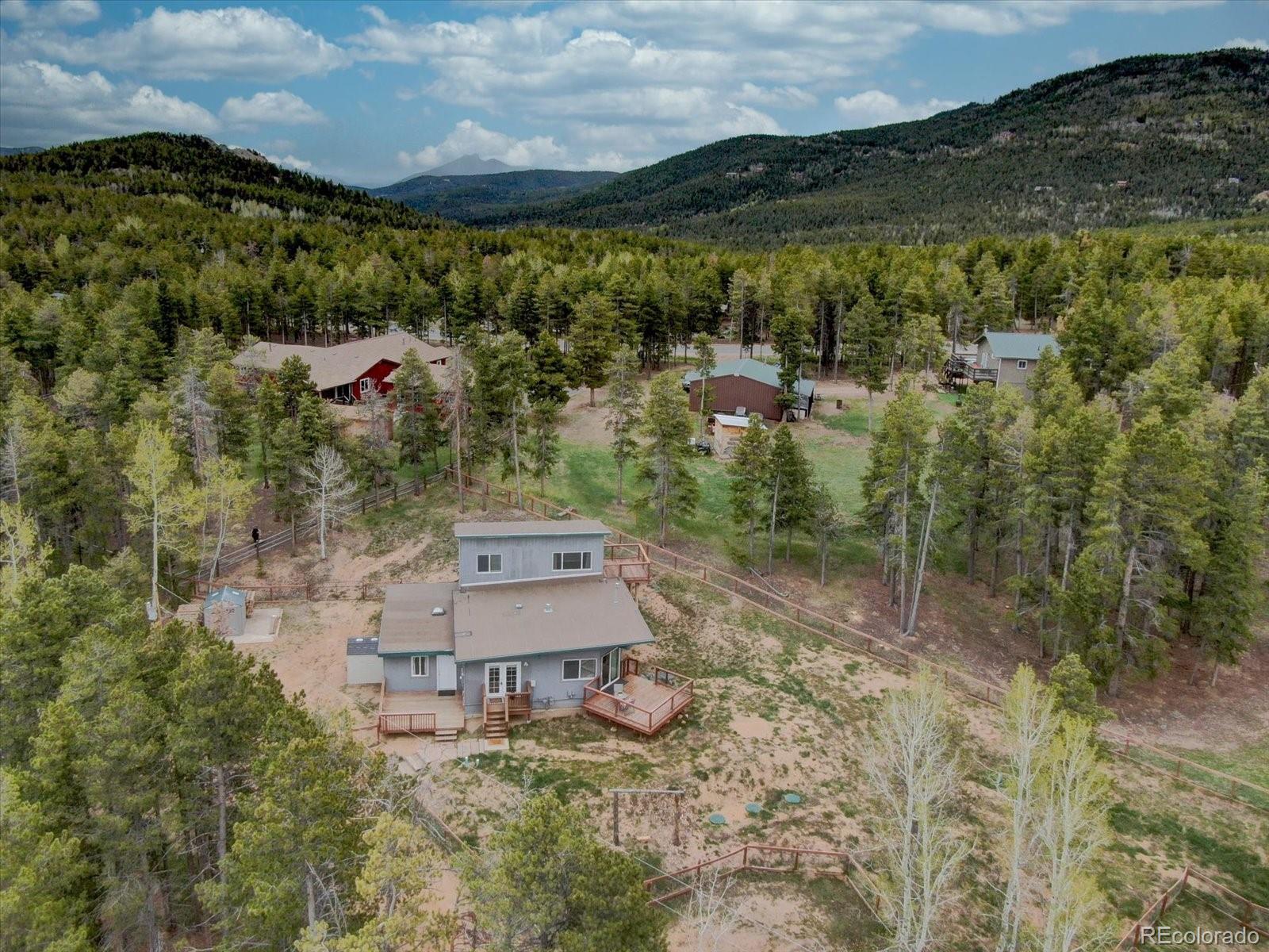 conifer  House Search Picture