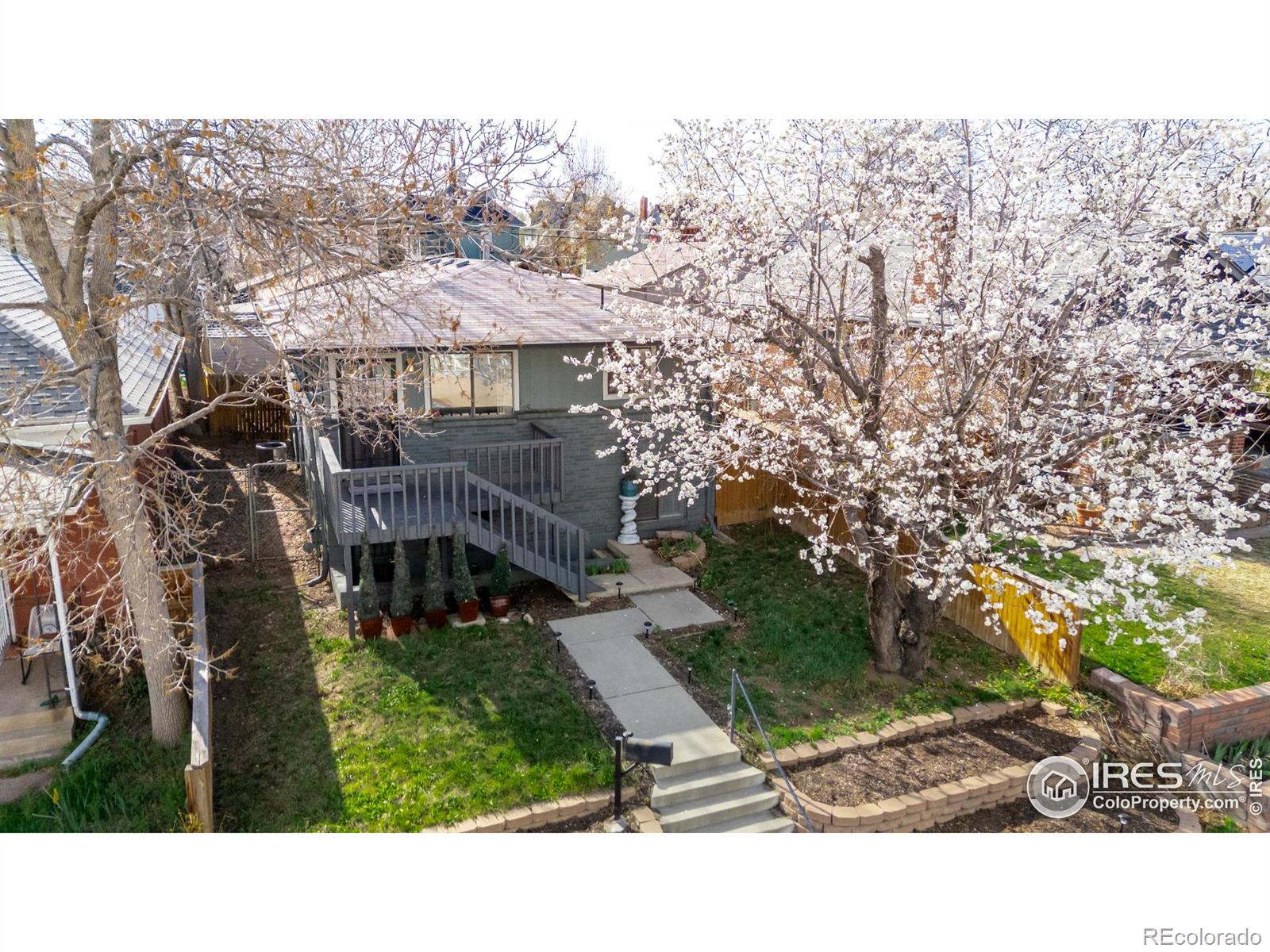 denver  House Search Picture