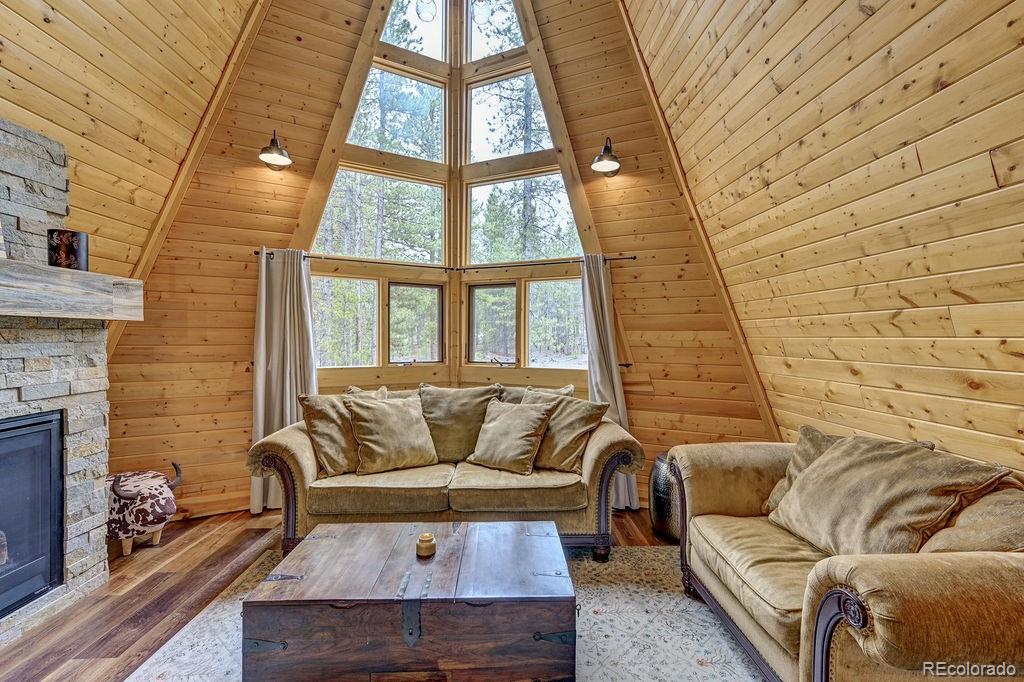 leadville  House Search Picture