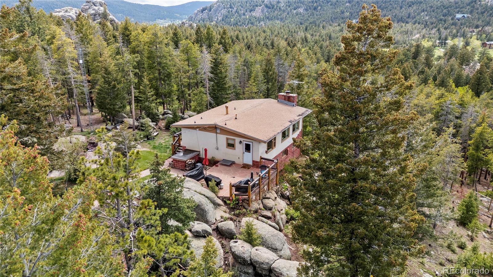conifer  House Search Picture