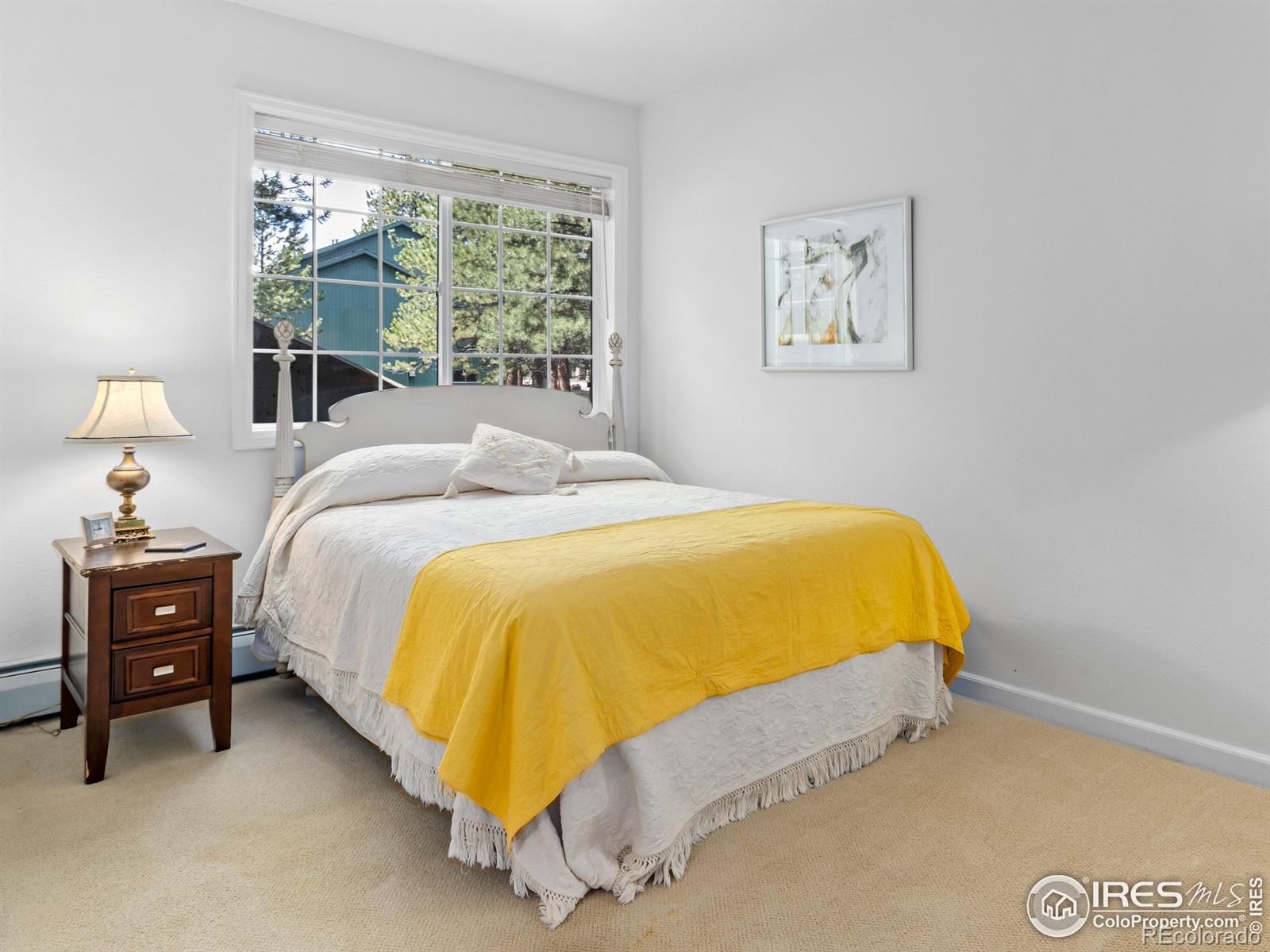 160  Riverside Drive, estes park  House Search MLS Picture