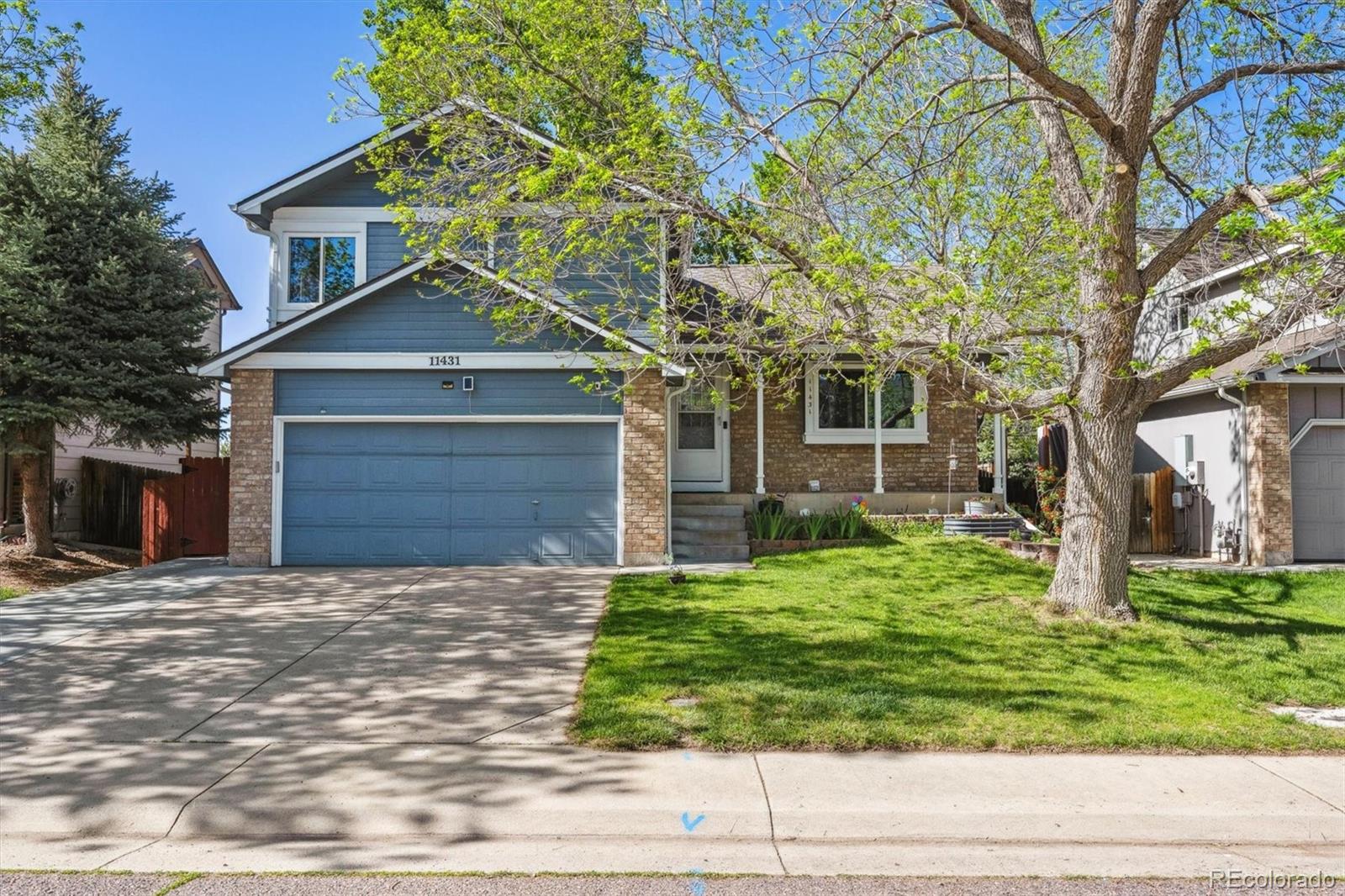 littleton  House Search Picture