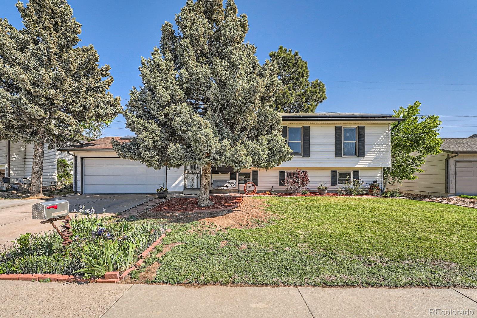 aurora  House Search Picture