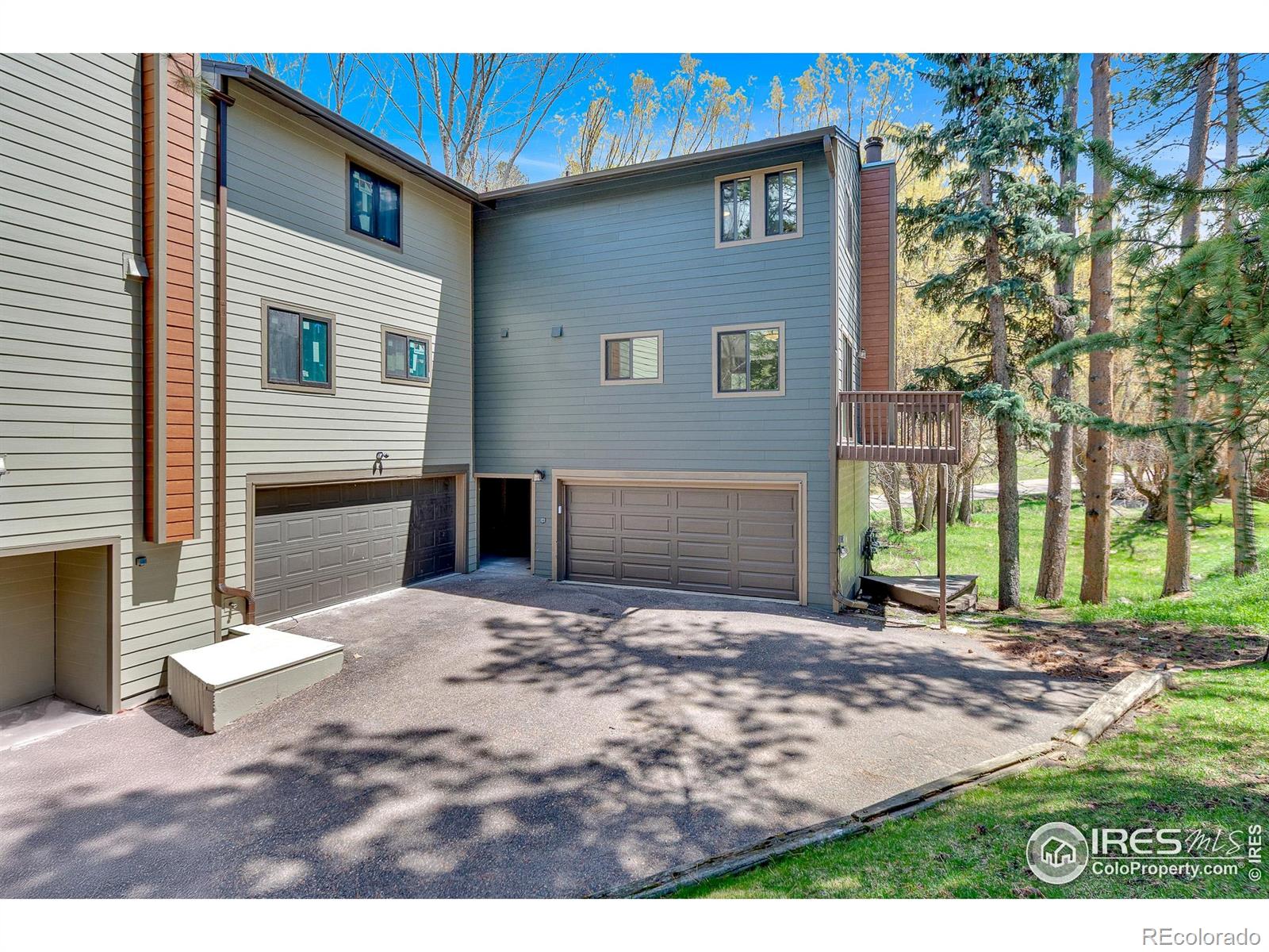 evergreen  House Search Picture