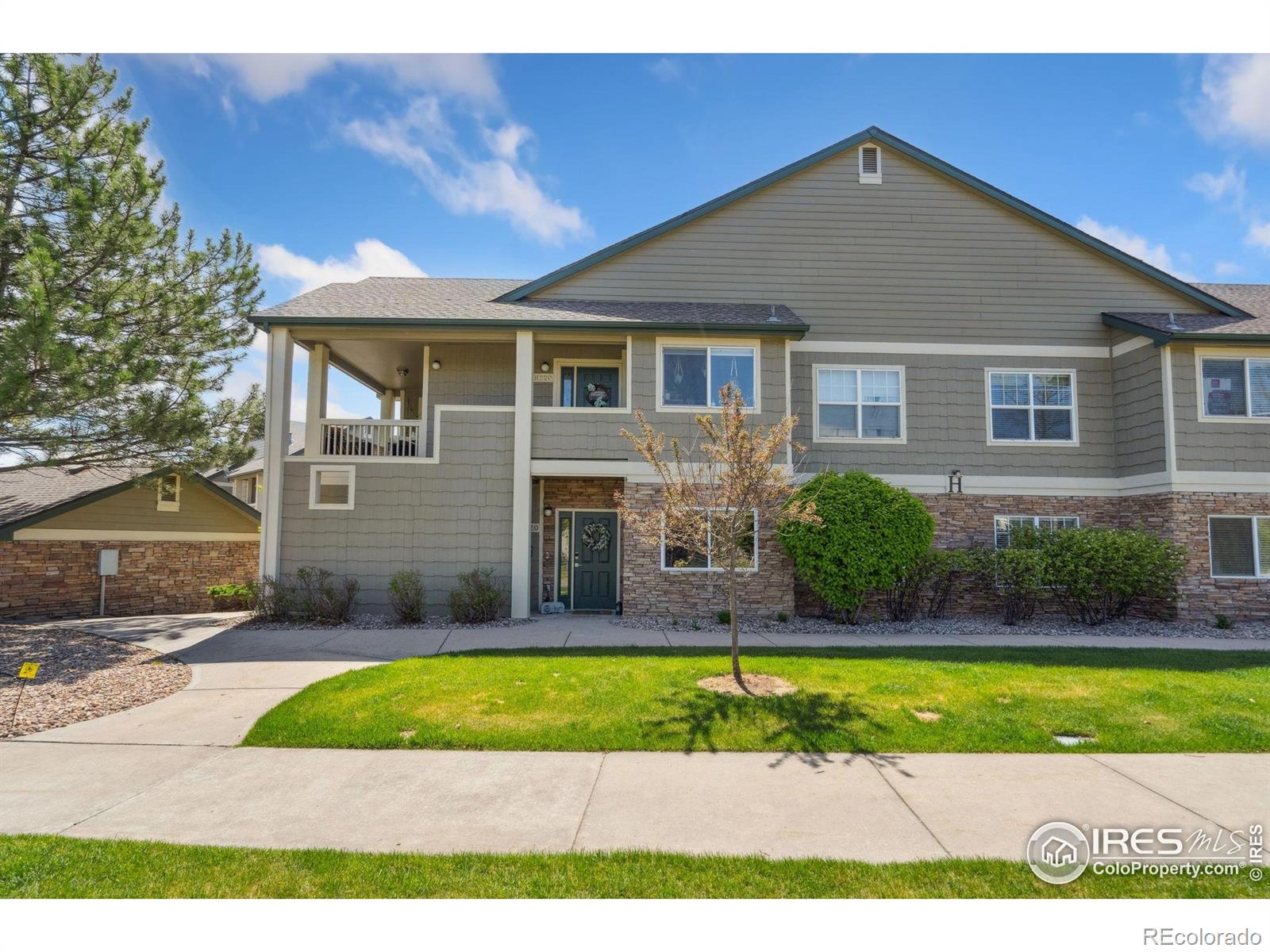 5225  White Willow Drive, fort collins  House Search MLS Picture