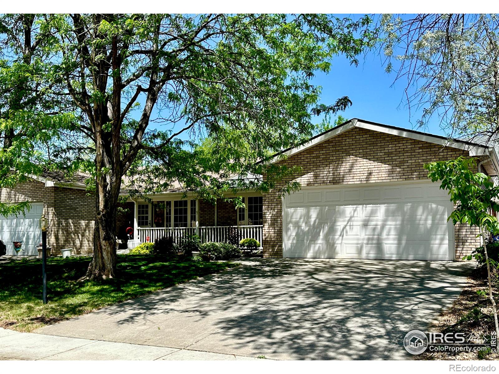 1649 E 17th Street, loveland  House Search MLS Picture