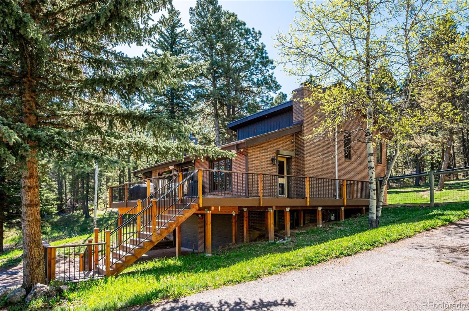 conifer  House Search Picture