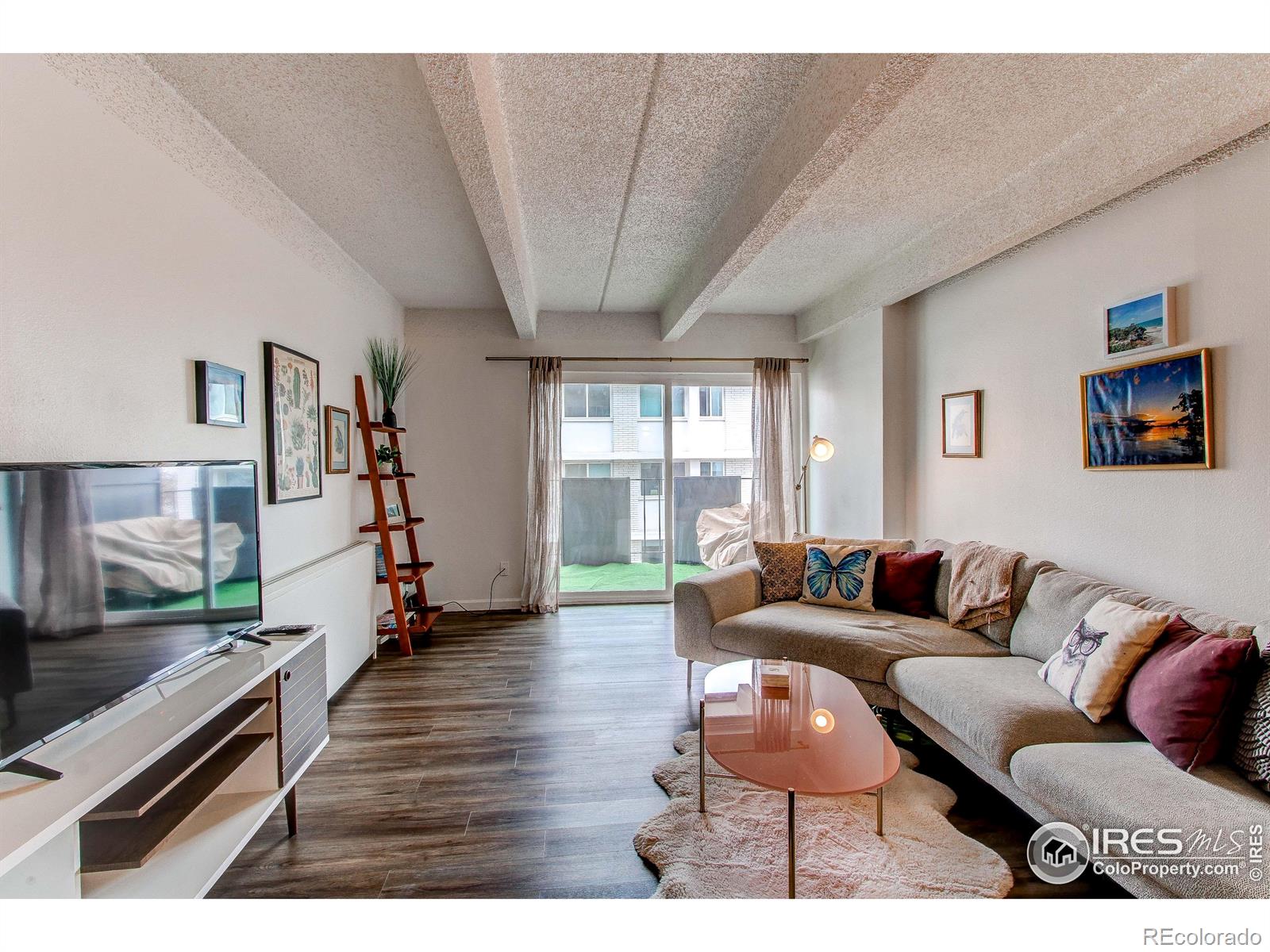 1265  Race Street, denver  House Search MLS Picture