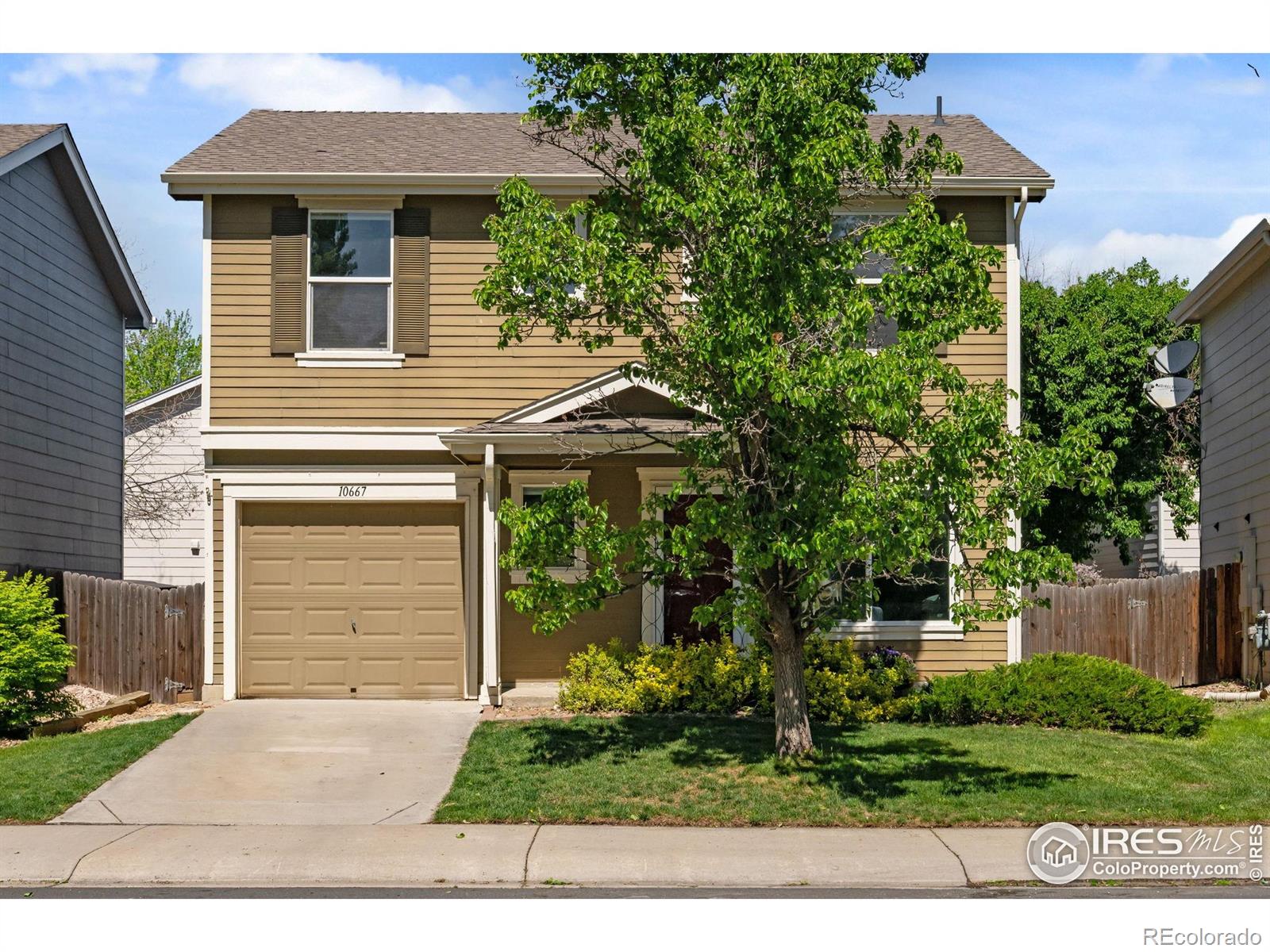 10667  Durango Place, longmont  House Search MLS Picture