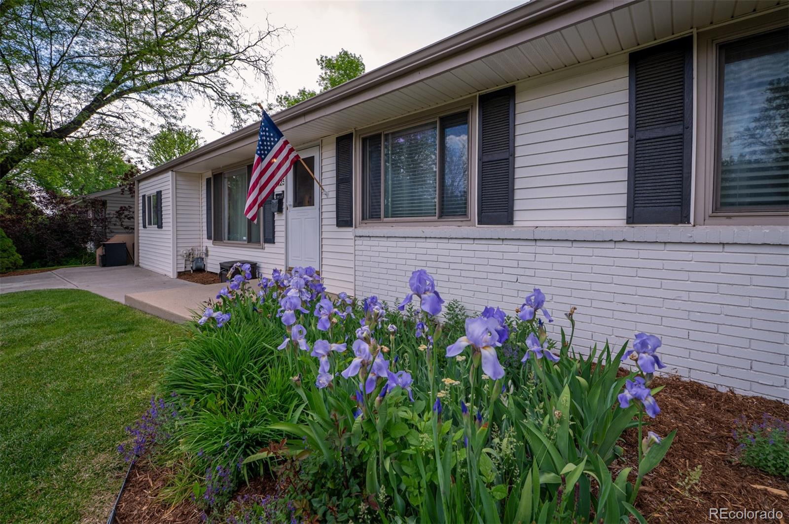 denver  House Search Picture