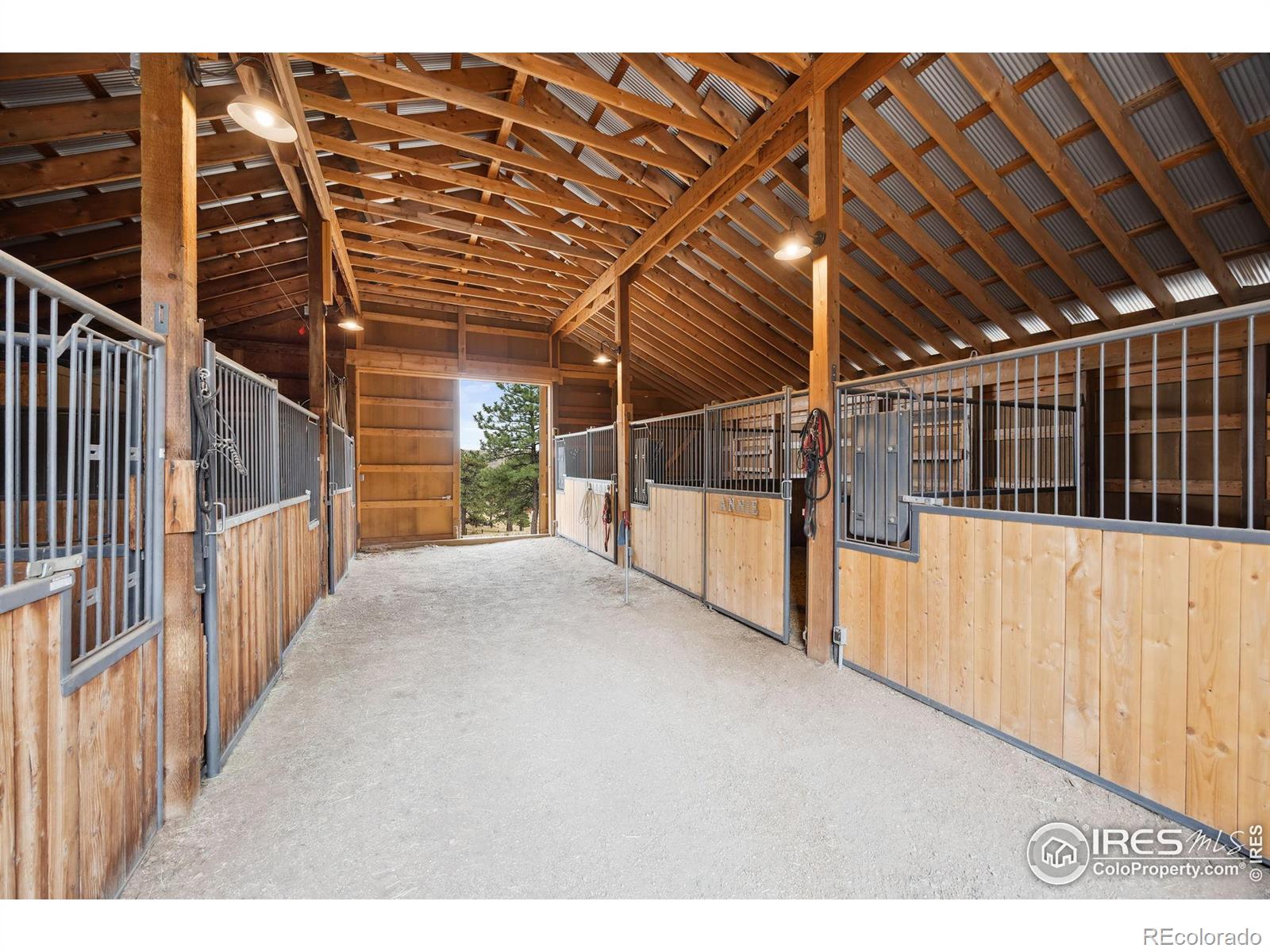 bellvue  House Search Picture