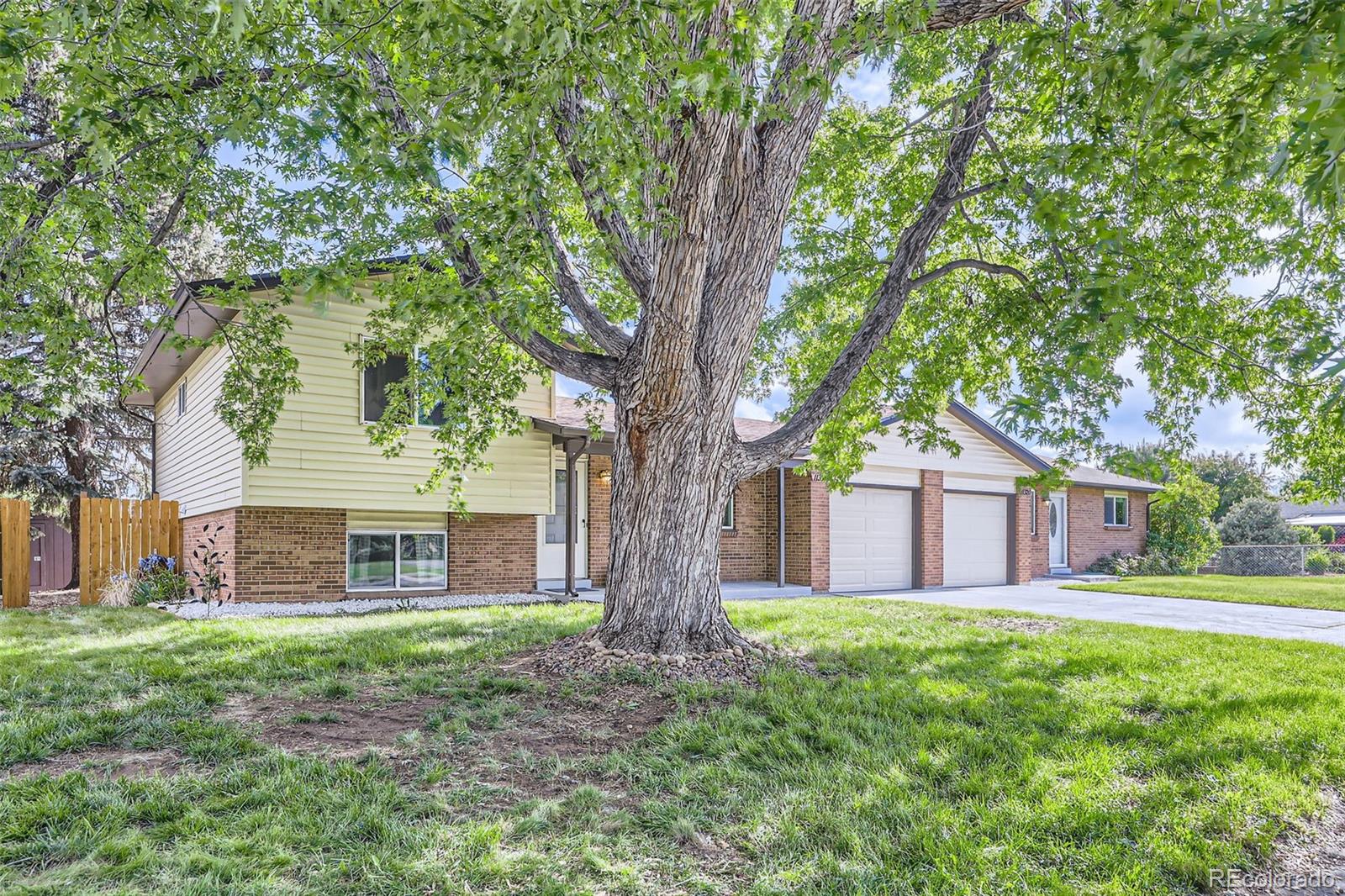 wheat ridge  House Search Picture