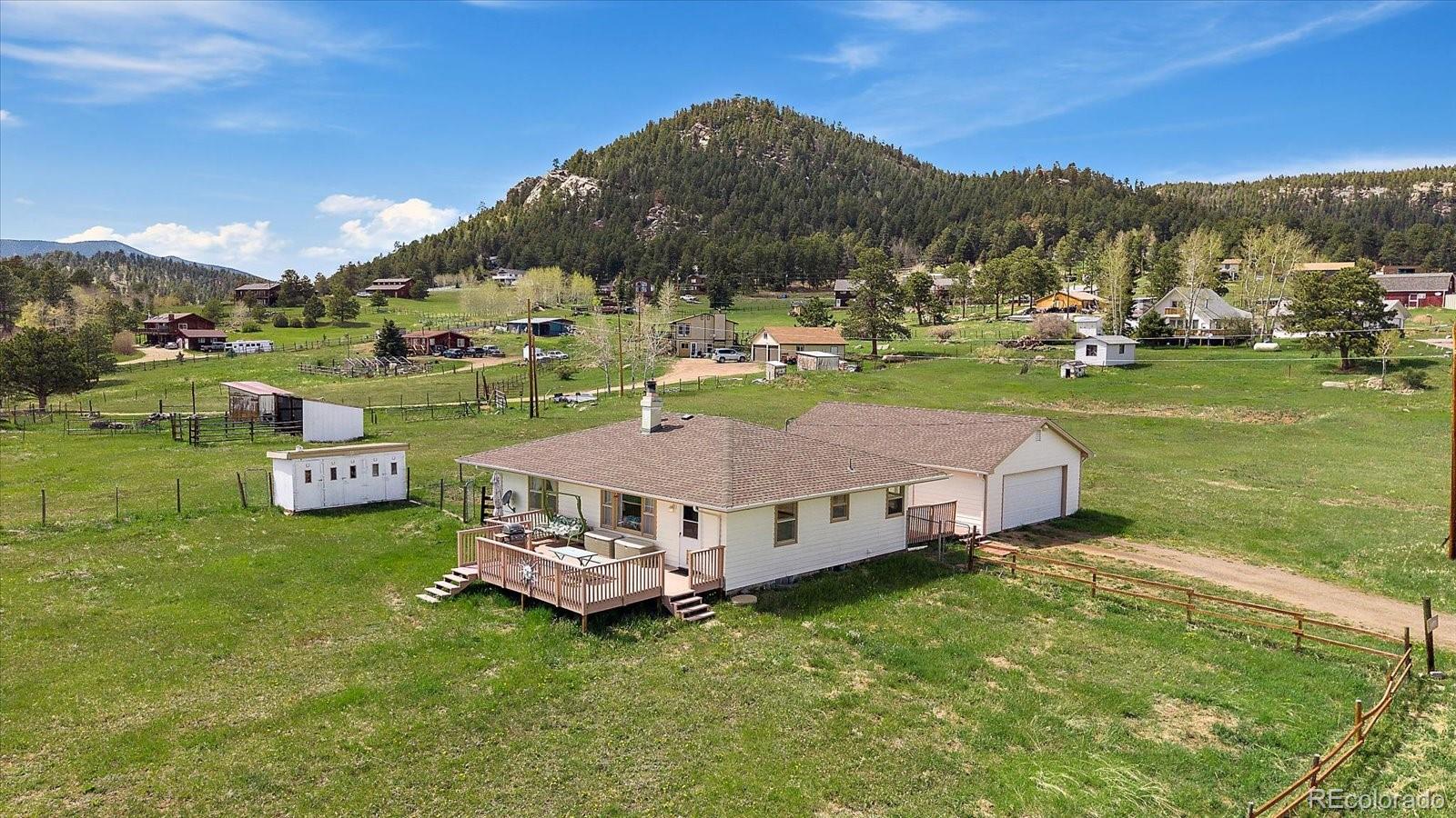 conifer  House Search Picture