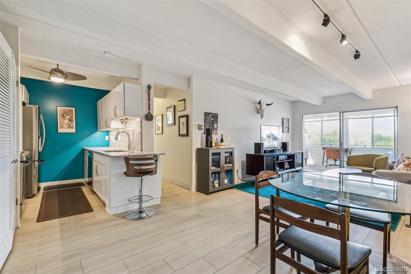 1255 N Ogden Street, denver  House Search MLS Picture