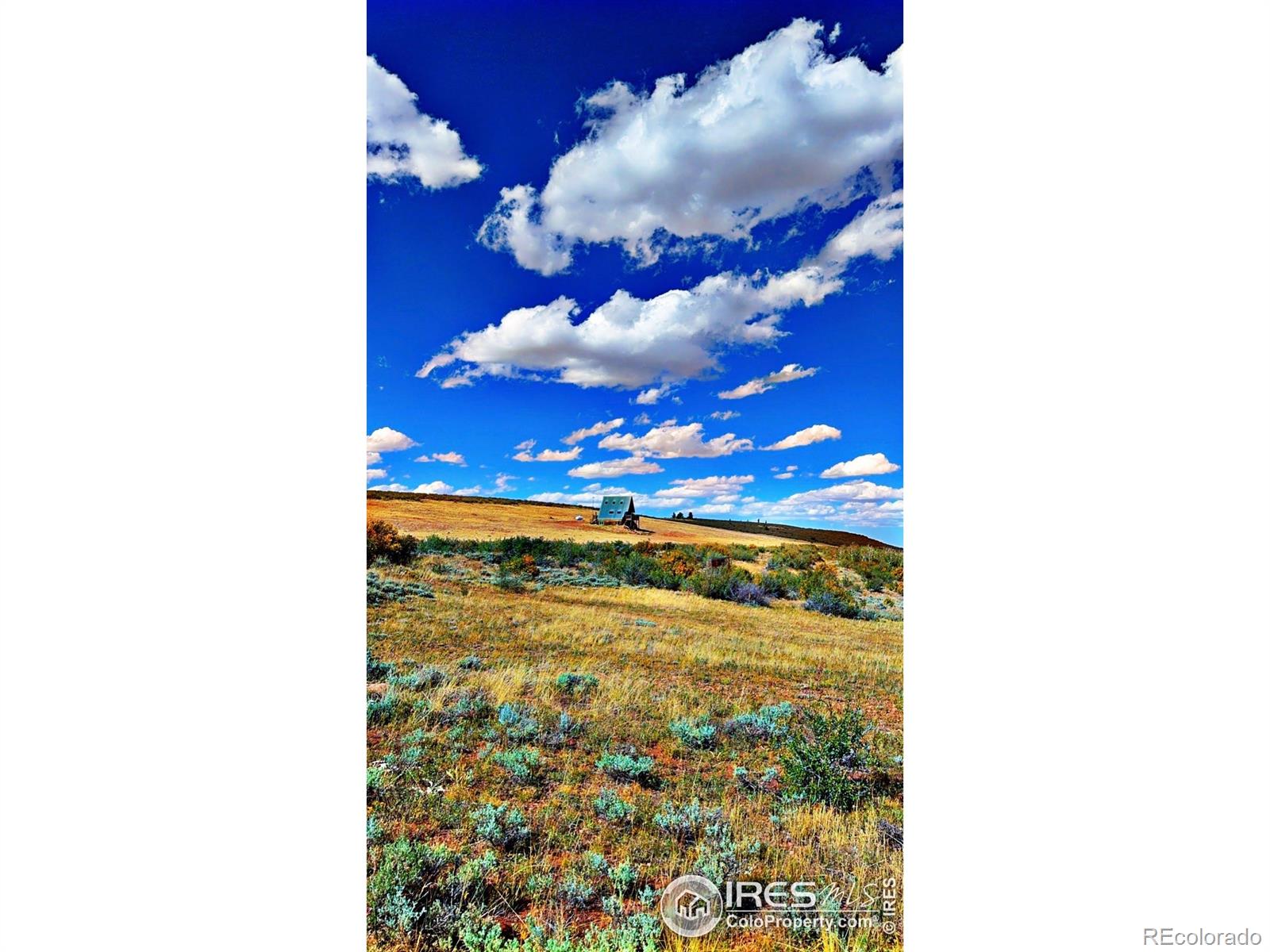 867  Windy Ridge Road, red feather lakes  House Search MLS Picture