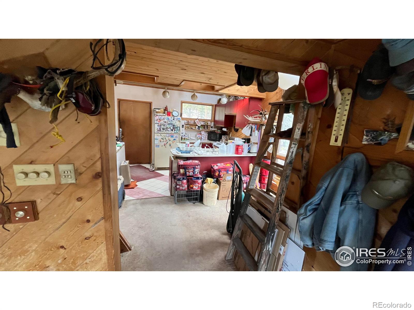480  Comanche Circle, red feather lakes  House Search MLS Picture
