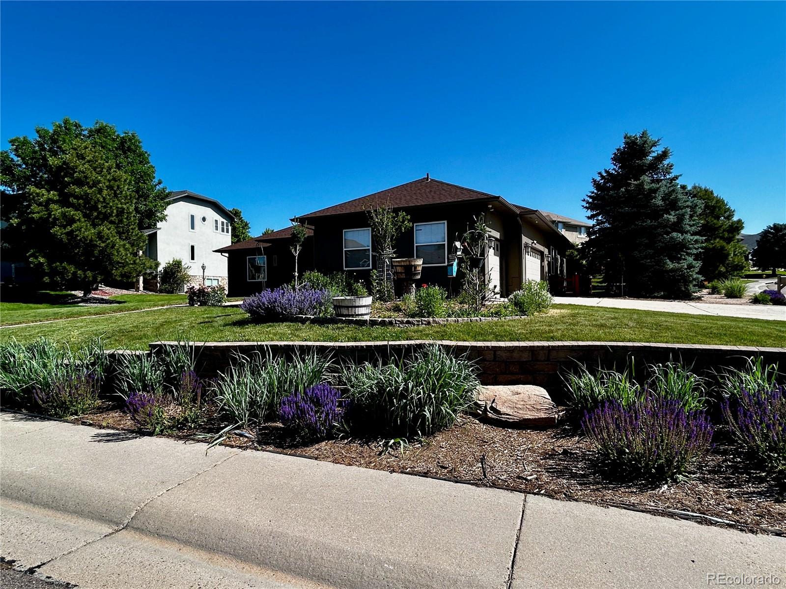 7170  Windwood Way, parker  House Search MLS Picture