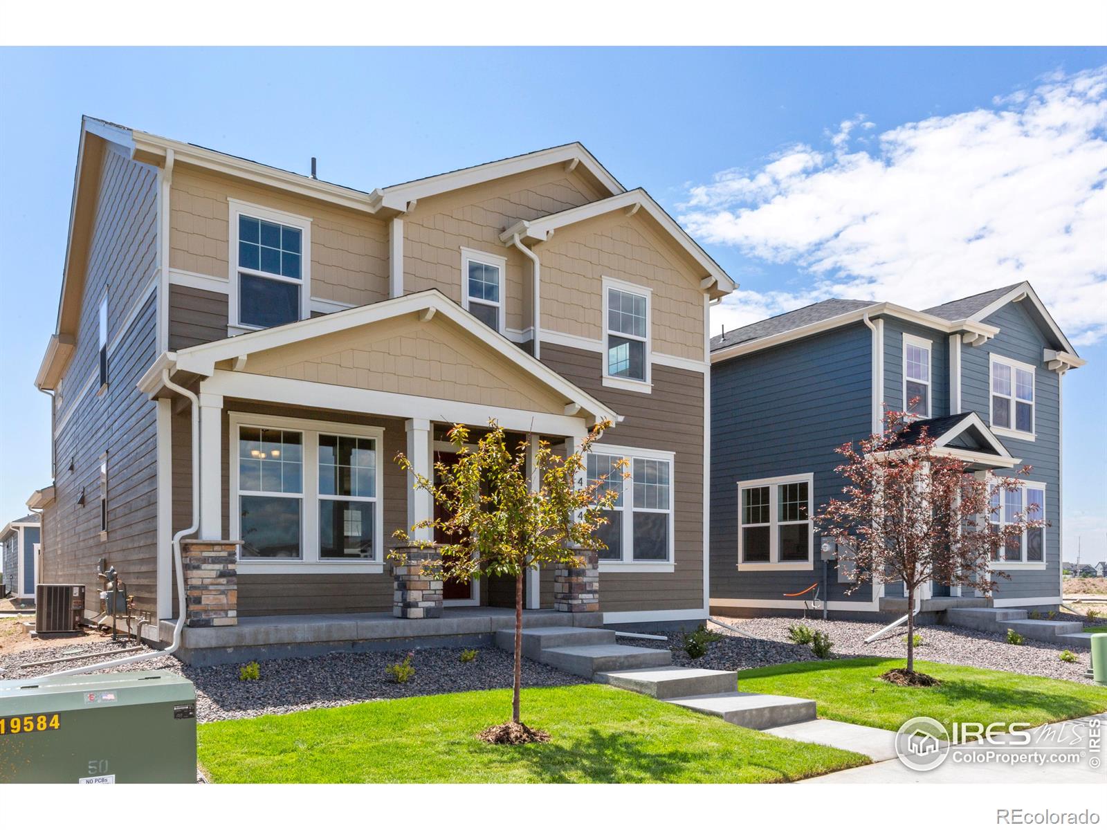 4504  Burl Street, timnath  House Search MLS Picture