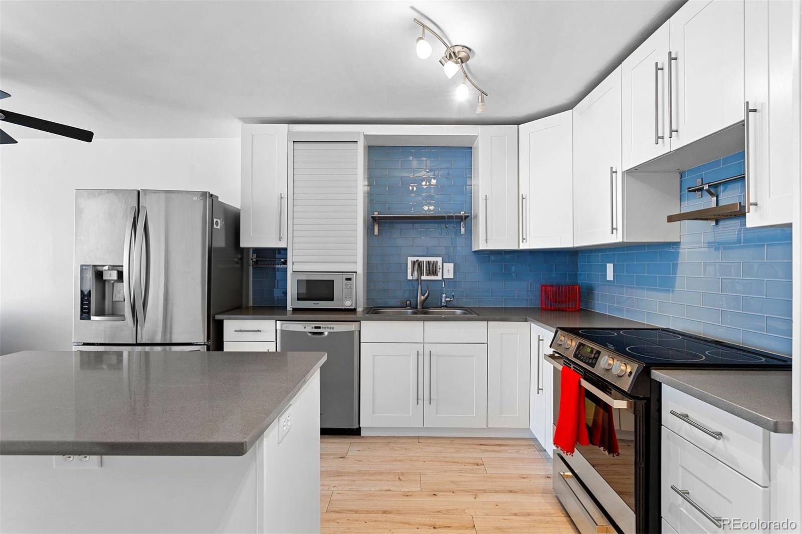 1121  Albion Street, denver  House Search MLS Picture