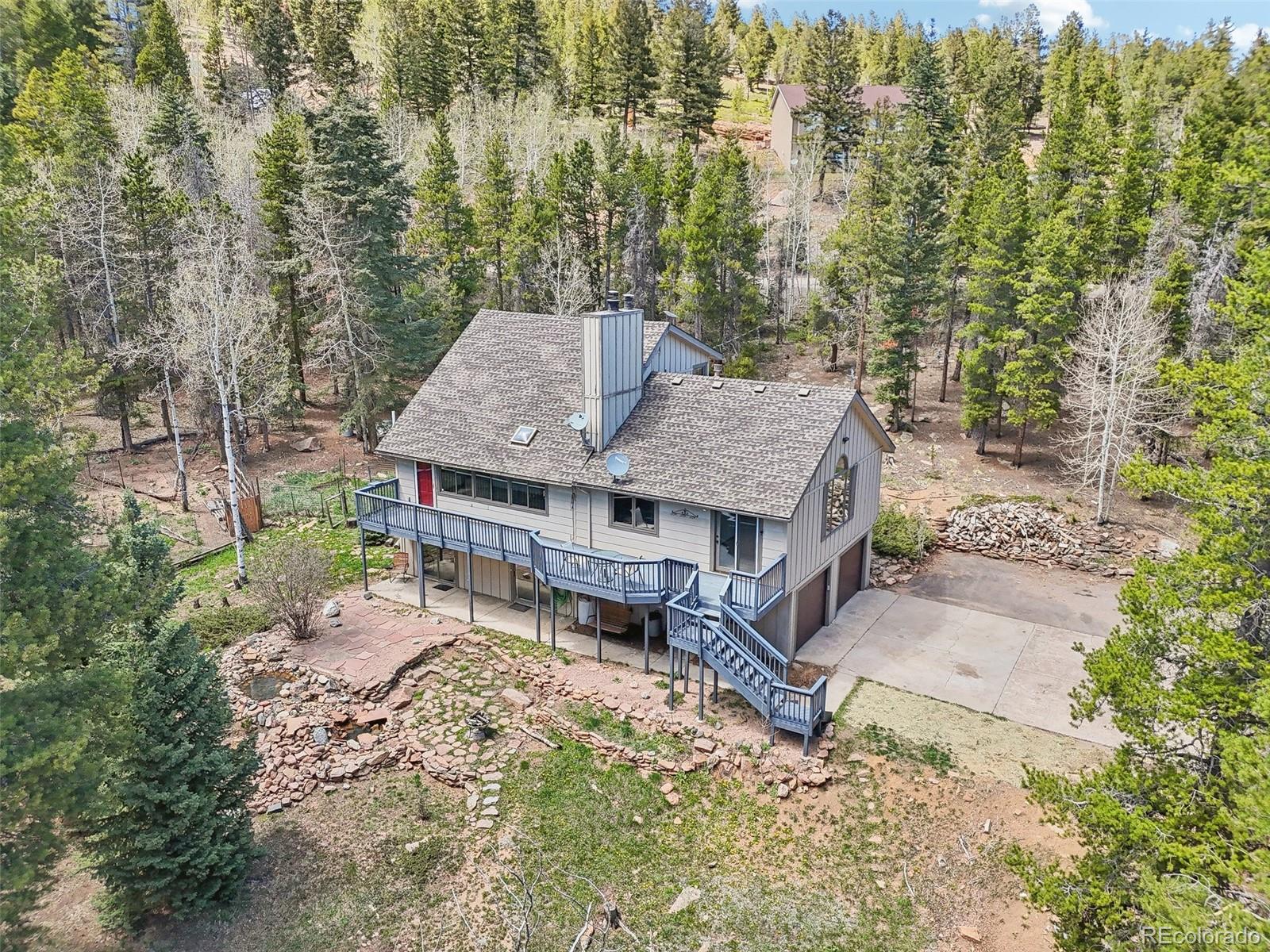 conifer  Horse Properties Search Picture