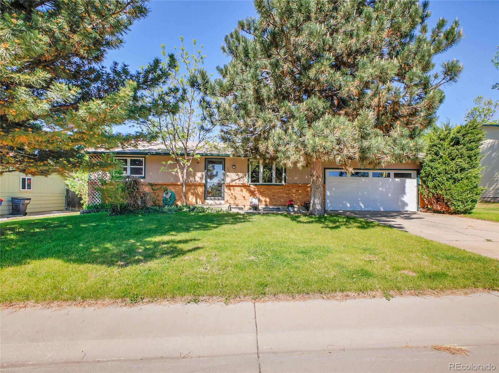 lone tree  House Search Picture