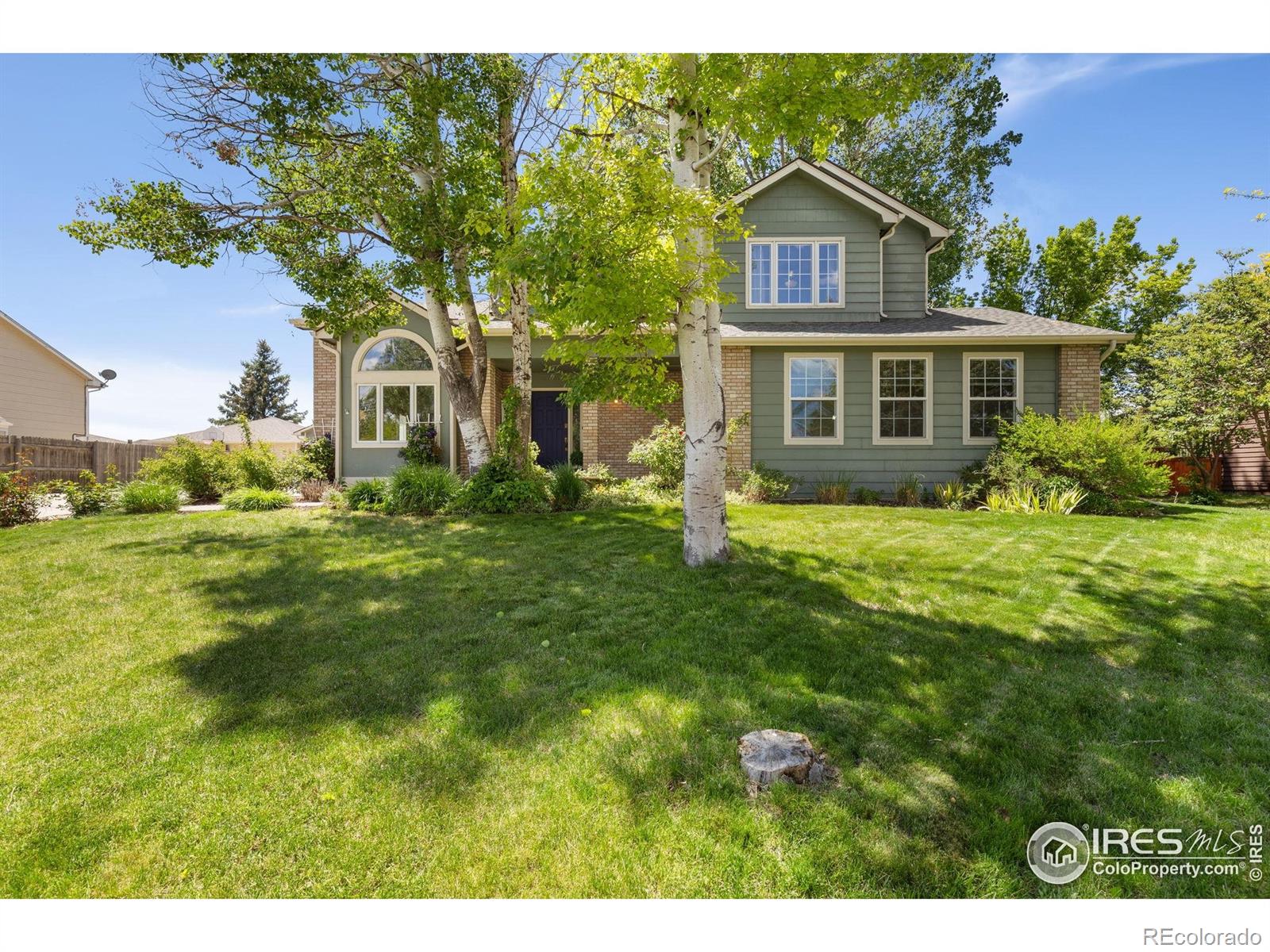 berthoud  House Search Picture
